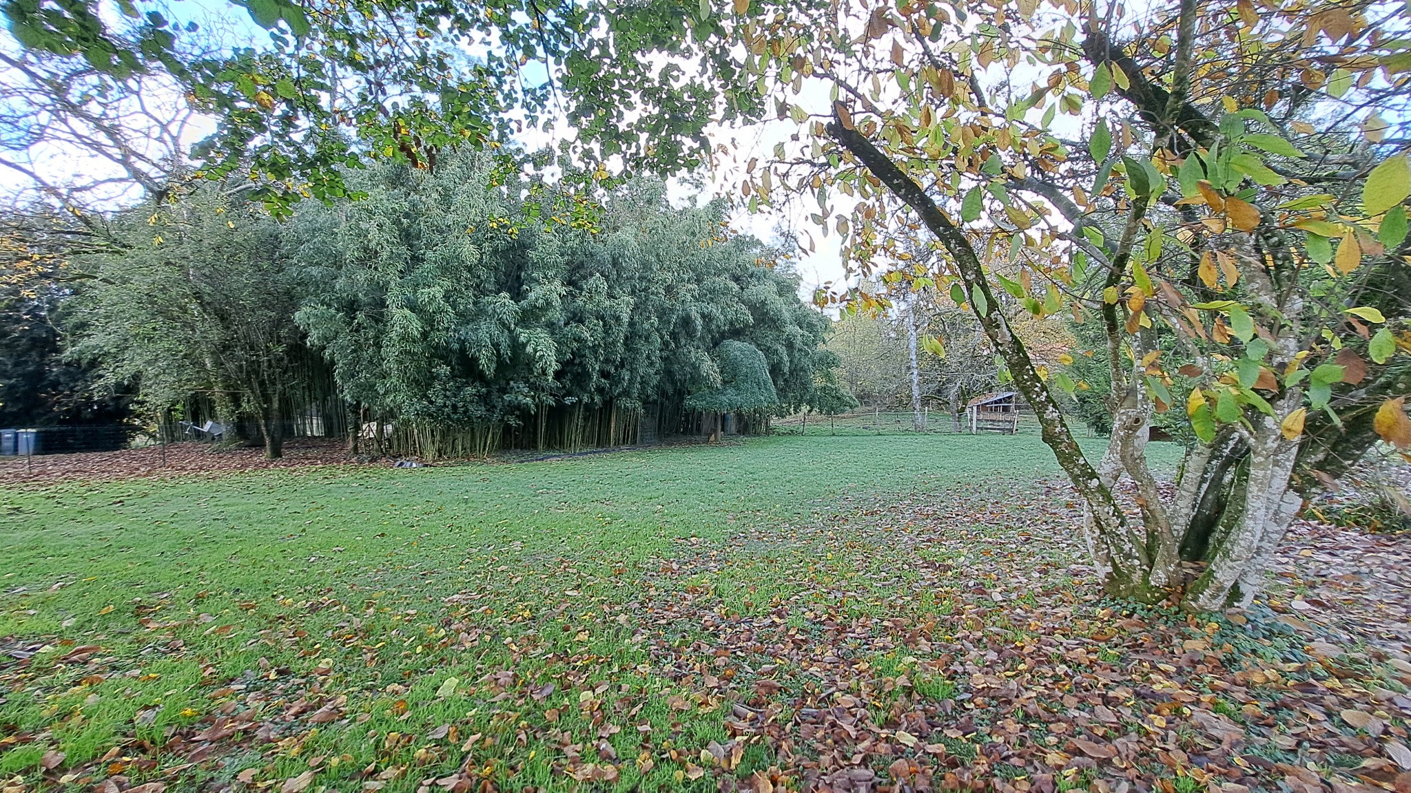 Maison 3 Chambres — photo 15
