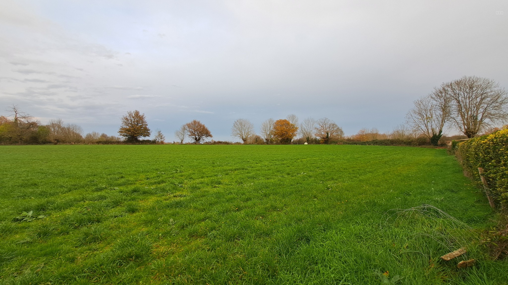 Terrain à Bâtir et Agricole — photo 3