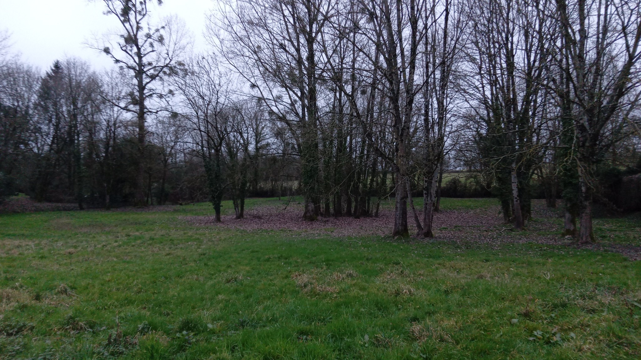 Terrain à bâtir — photo 4