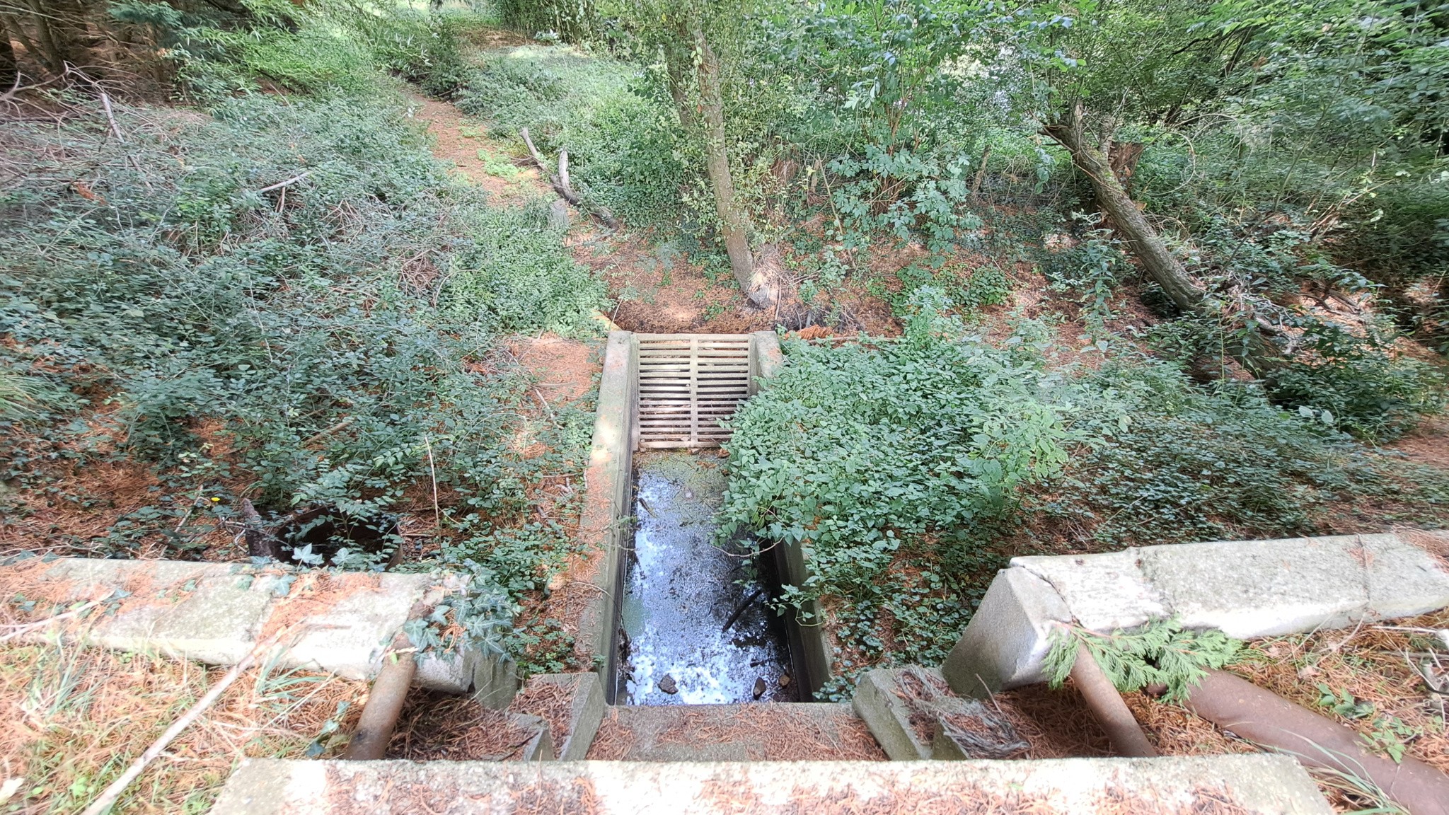 Etang de 6325 m2 — photo 7