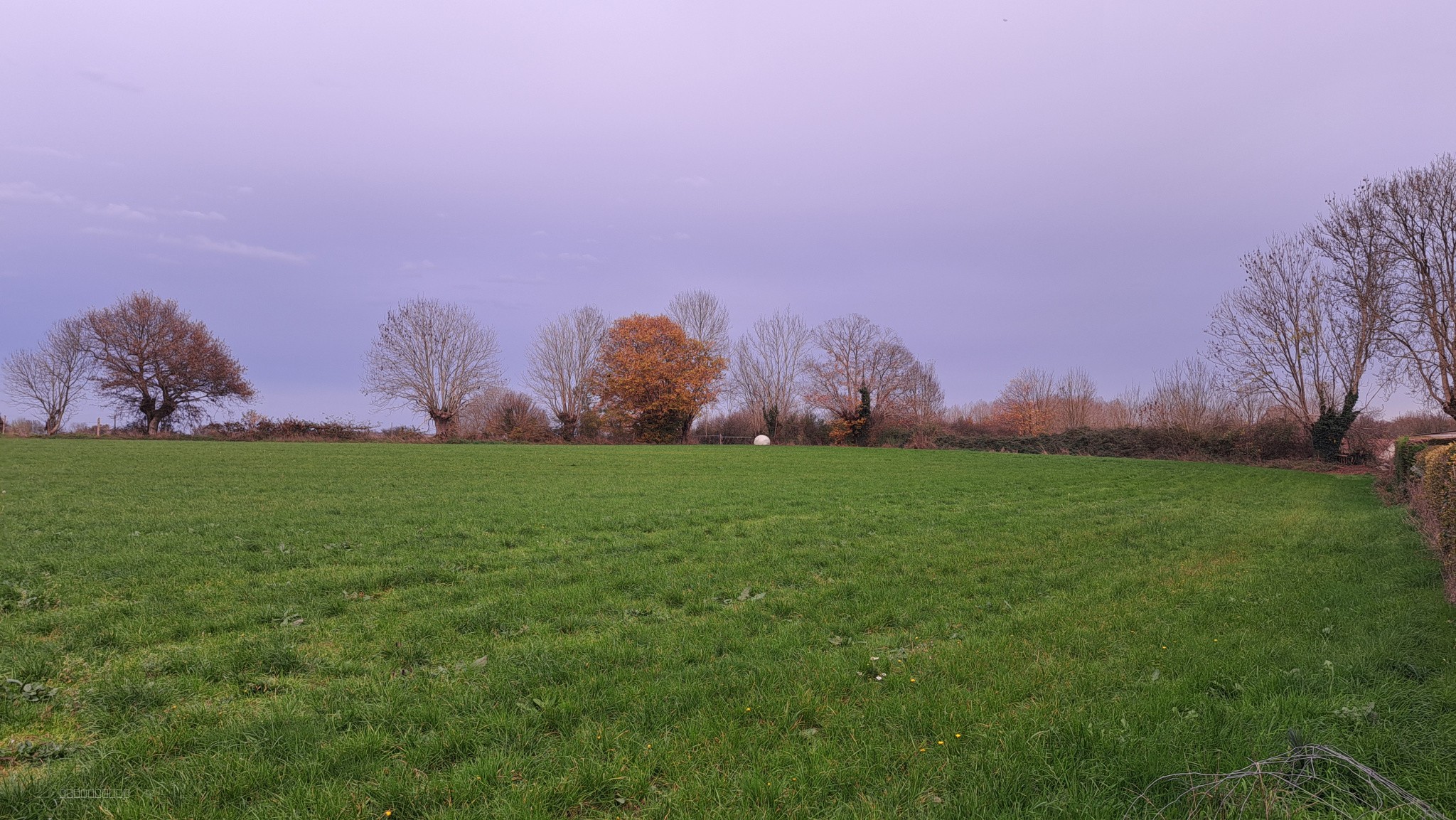 Terrain à Bâtir et Agricole — photo 4