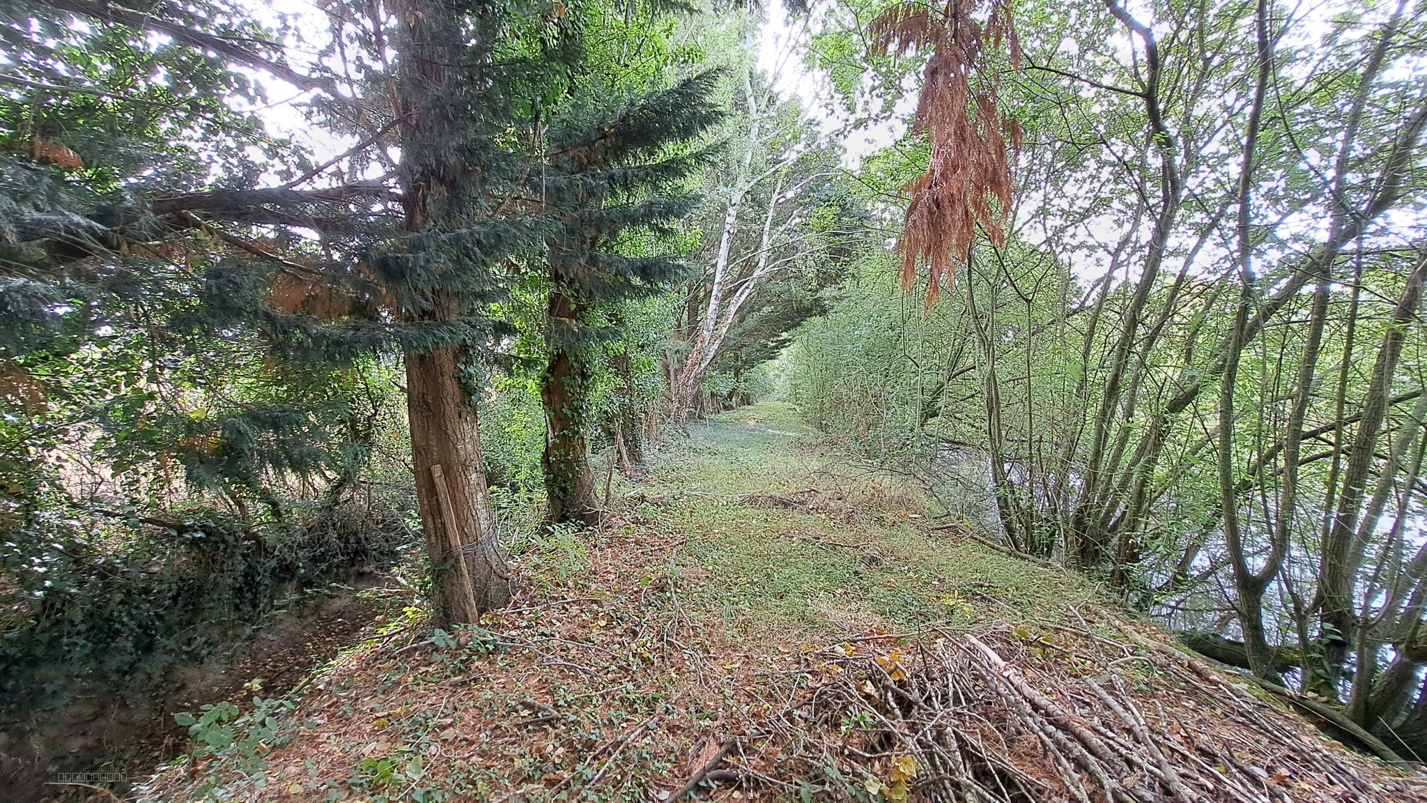 Etang de 6325 m2 — photo 6