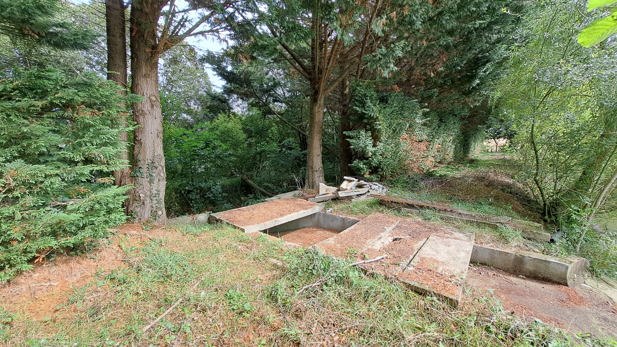 Etang de 6325 m2 — photo 4