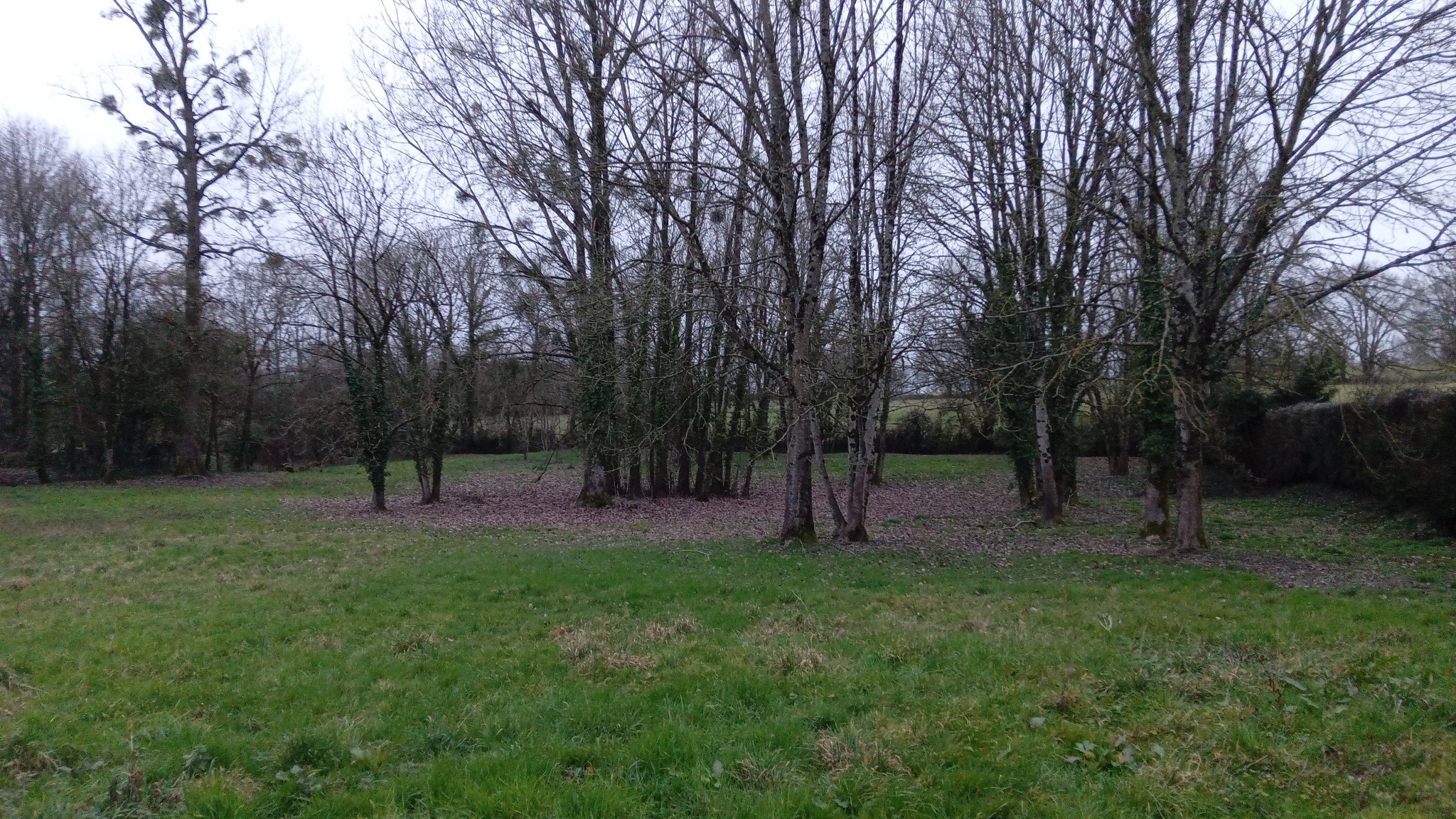 Terrain à bâtir — photo 5