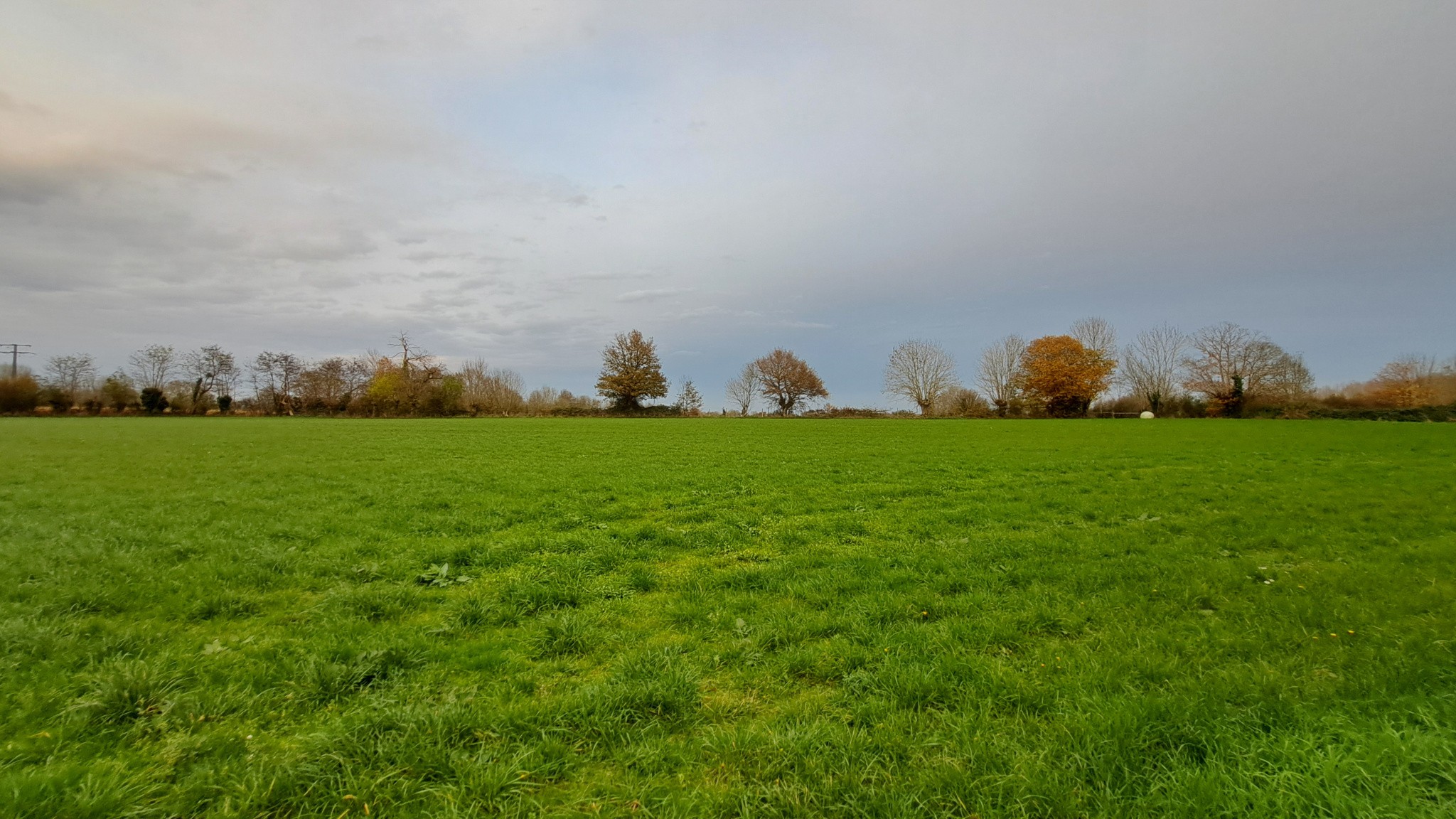 Terrain à Bâtir et Agricole — photo 2