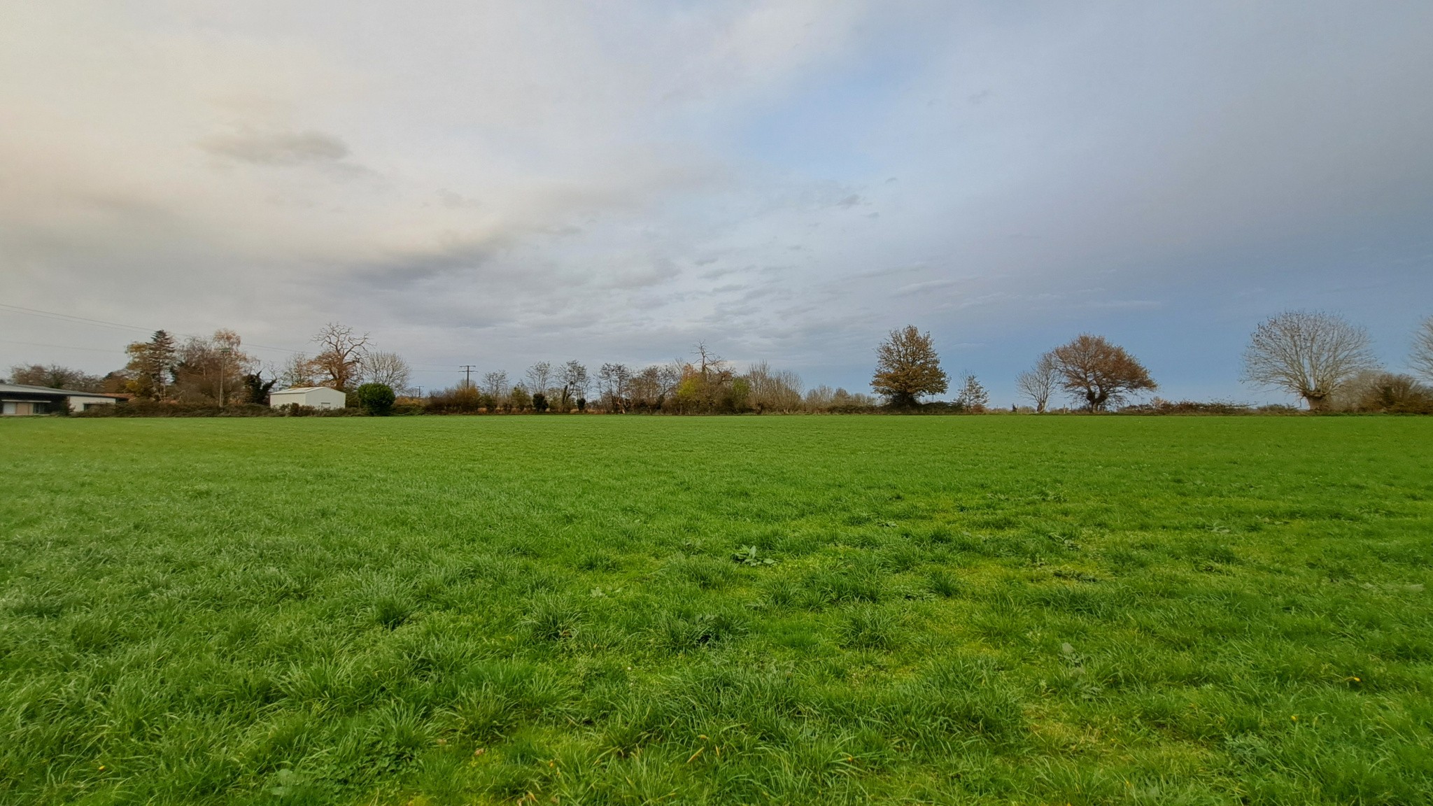 Terrain à Bâtir et Agricole — photo 6