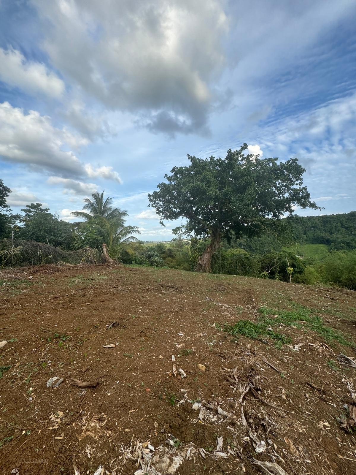À Vendre Terrain d’Exception de 1 015,67 m2 avec Vue Panoramique Hauteurs Lézarde, Petit-Bourg — photo 6