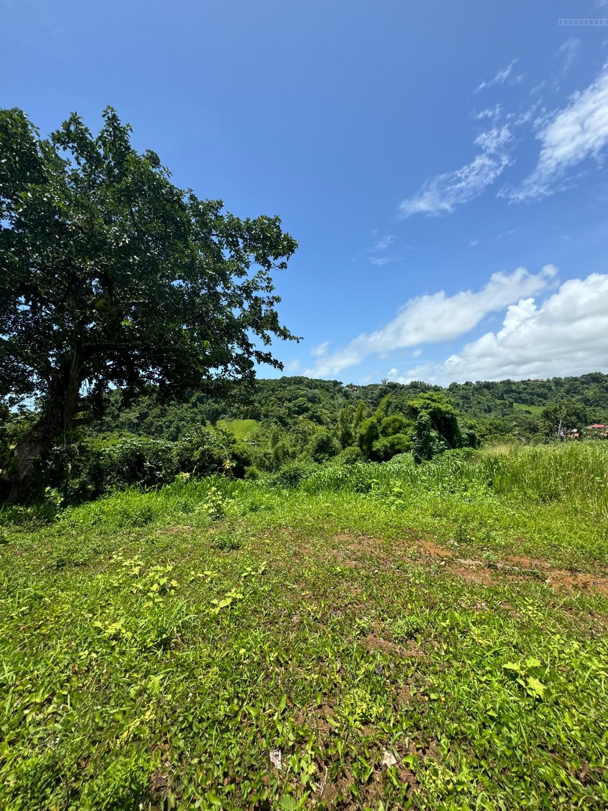 À Vendre   Terrain d’Exception de 960,27 m2 avec Vue Panoramique   Hauteurs Lézarde, Petit-Bourg — photo 5