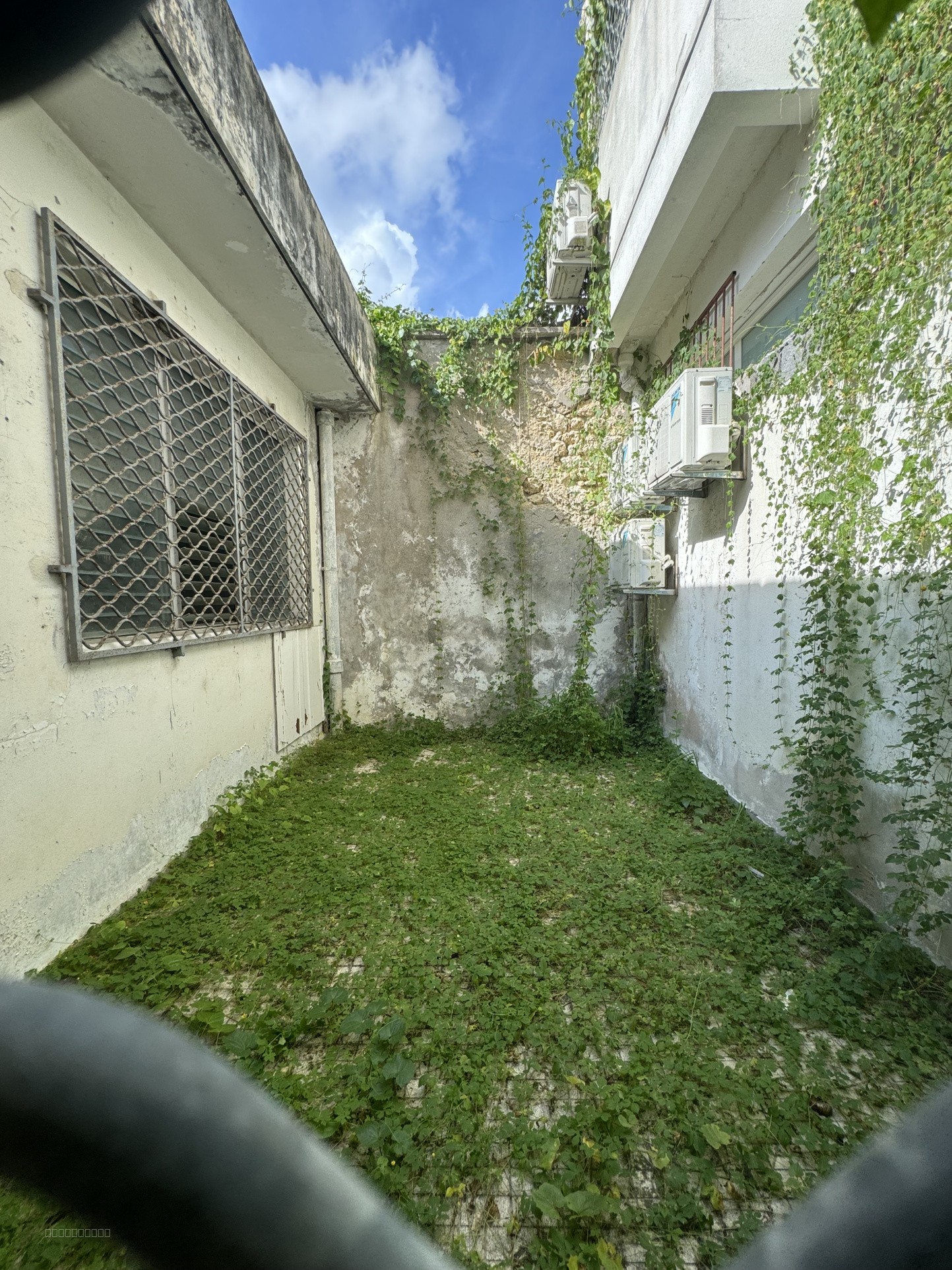 LOCAL PROFESSIONNEL ET DE BUREAUX 60 M2 POINTE A PITRE — photo 2