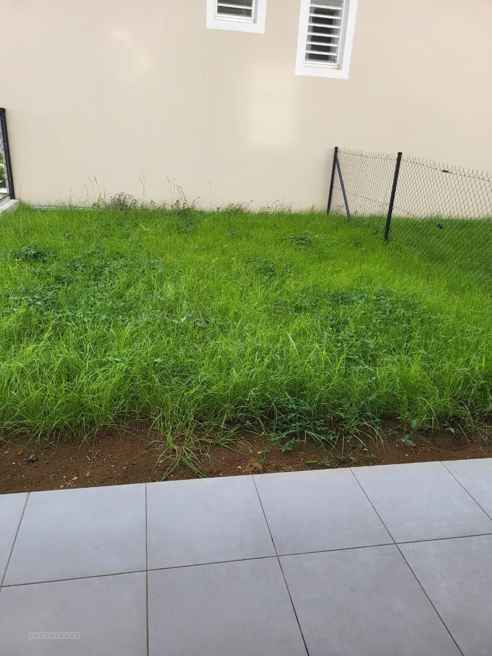 À louer   Appartement T2 - Pointe-à-Pitre — photo 10