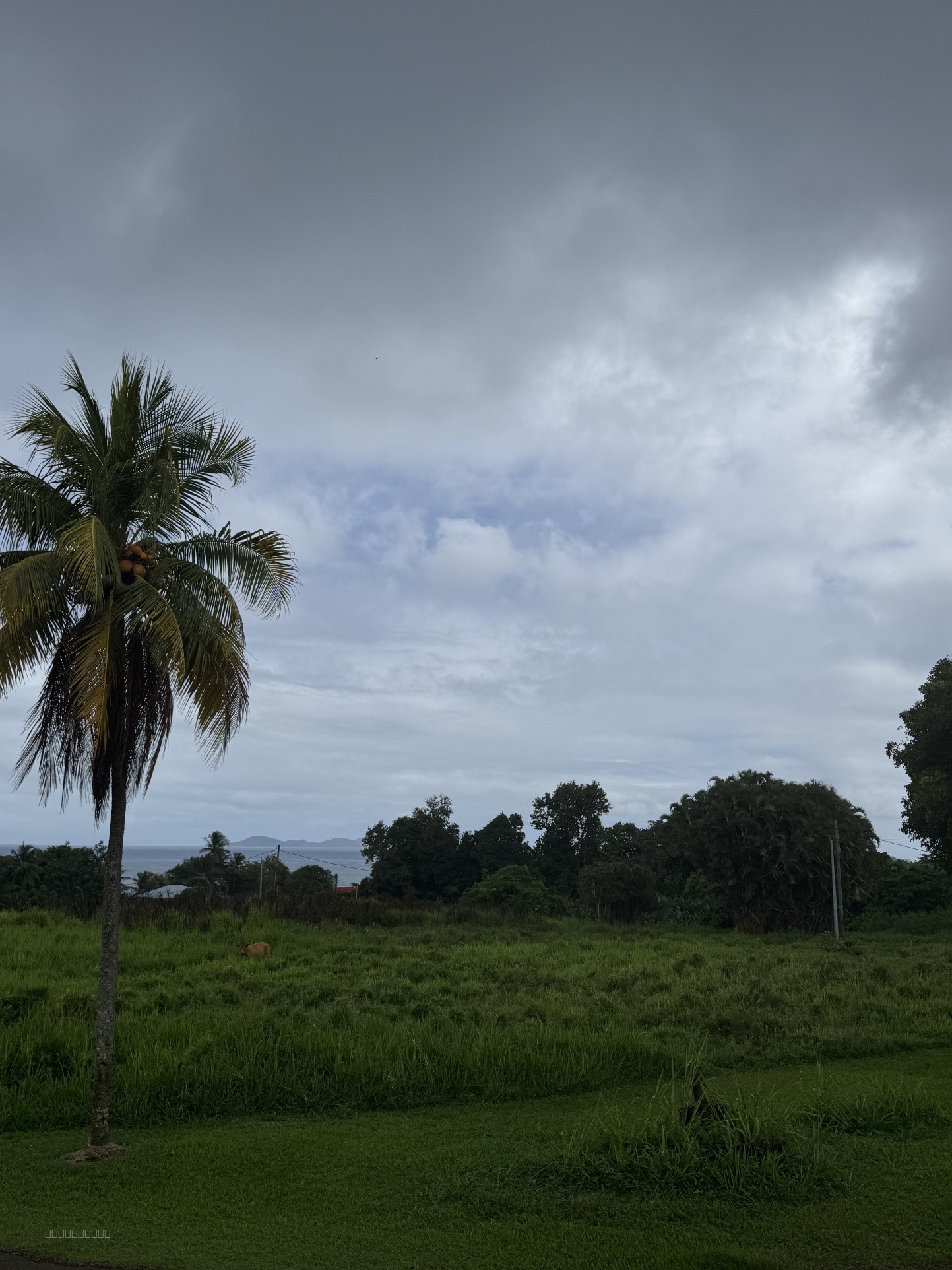 Terrain à la vente - Capesterre-Belle-Eau Plat & Viabilisé — photo 18