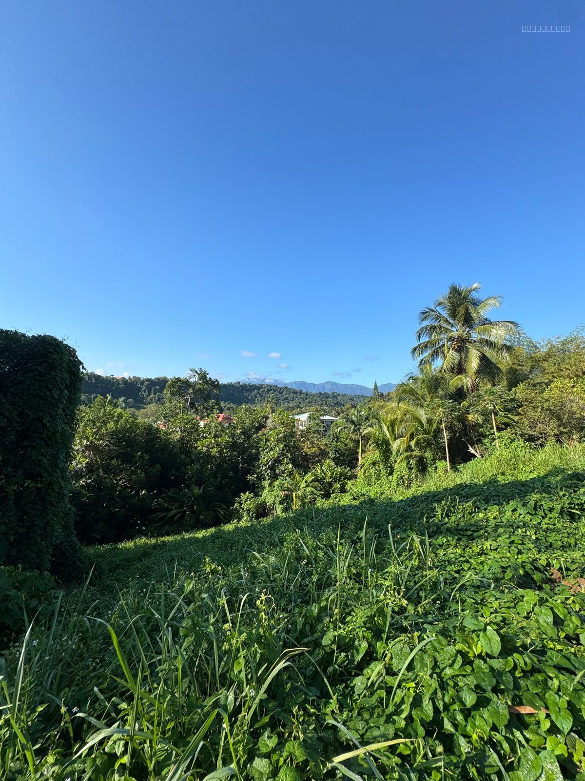 À Vendre Terrain d’Exception de 1 015,67 m2 avec Vue Panoramique Hauteurs Lézarde, Petit-Bourg — photo 3