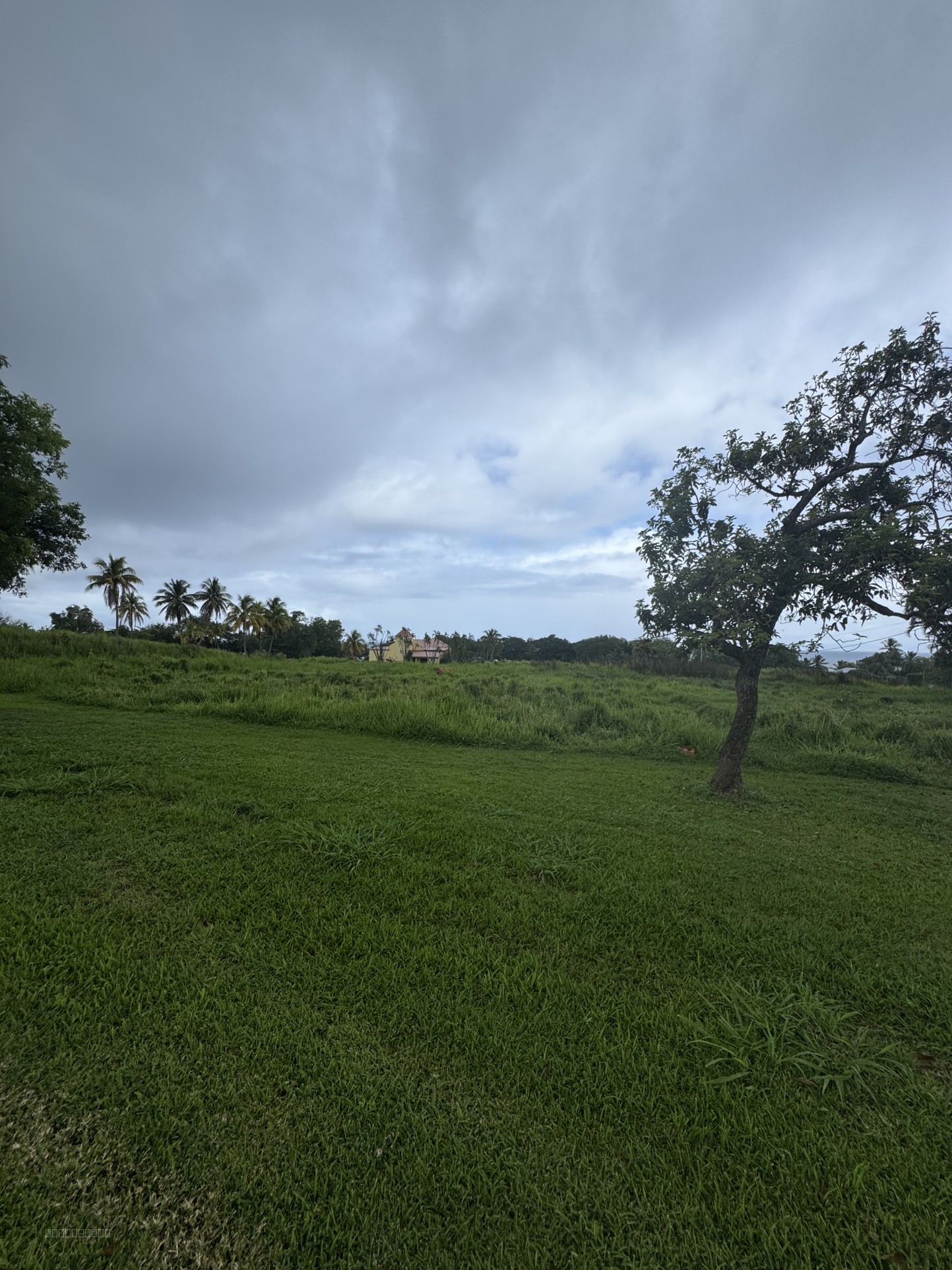 Terrain à la vente - Capesterre-Belle-Eau Plat & Viabilisé — photo 20