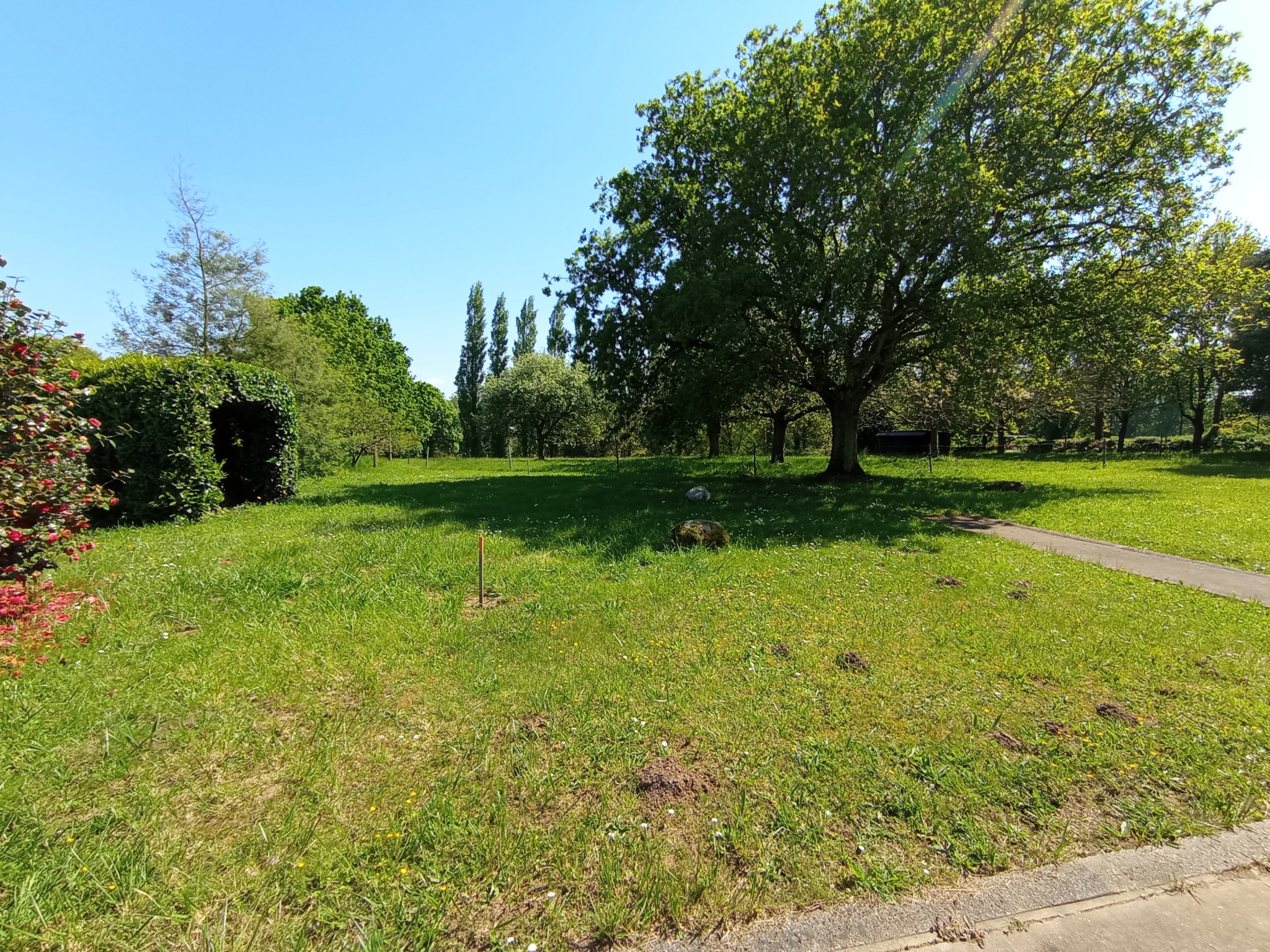 MAISON EN PIERRES 118 M2, TERRAIN 7781 M2, PLEHEDEL, COMMERCES, ECOLE — photo 13