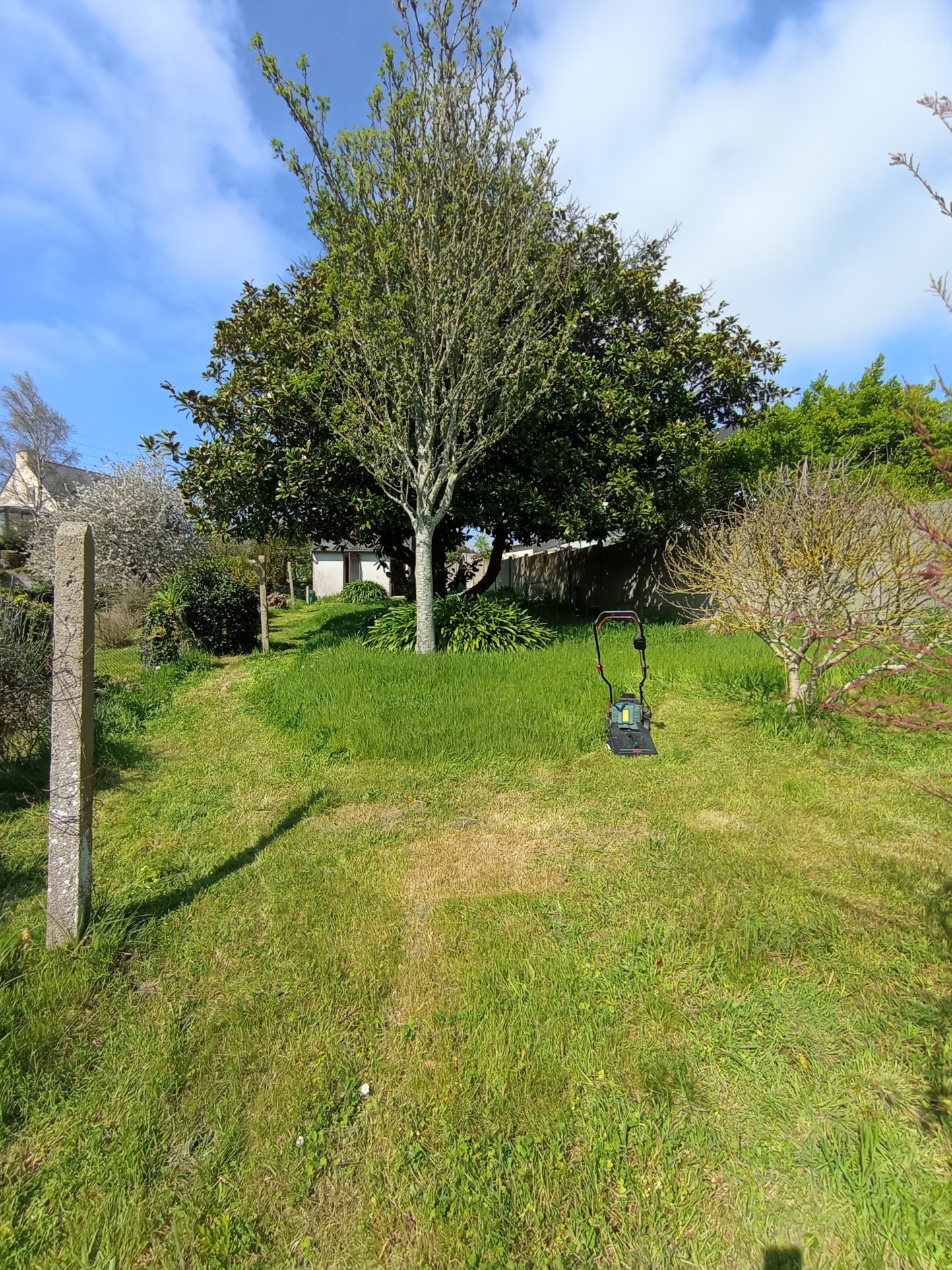 LEZARDRIEUX, maison en pierres à rénover — photo 5