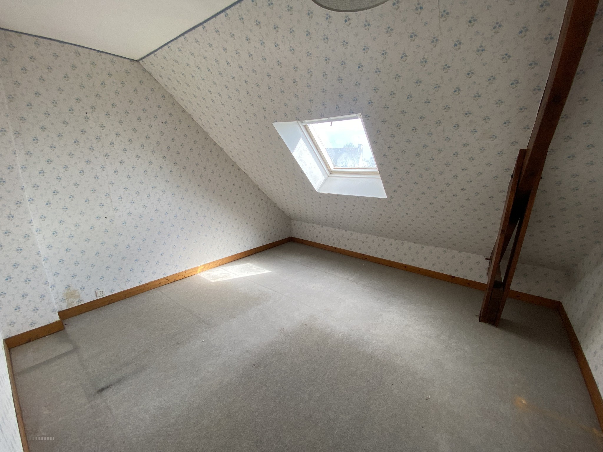 PAIMPOL, maison proche des plages et du centre ville, 5 chambres, TERRAIN 1582 M2 — photo 10