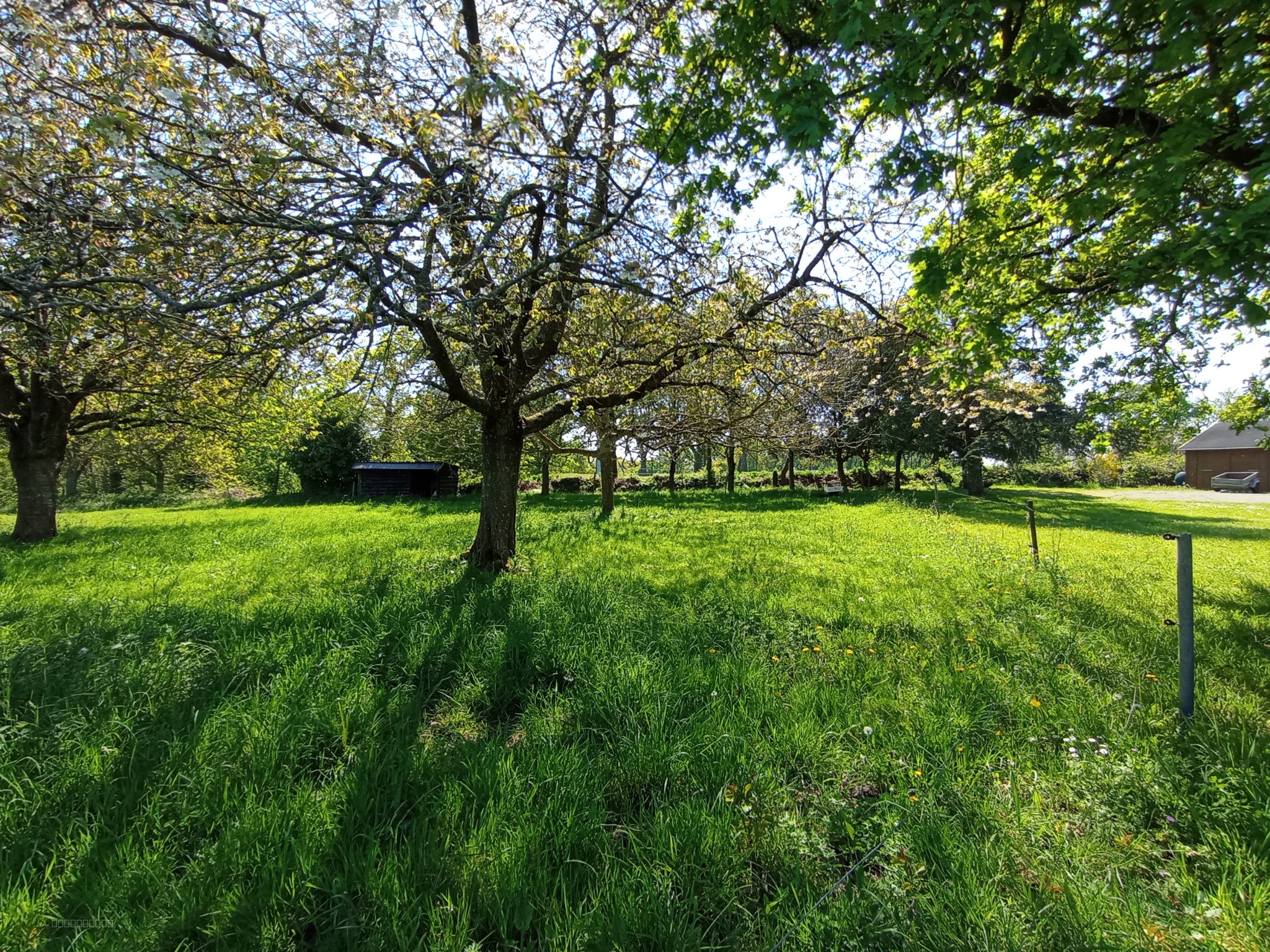 MAISON EN PIERRES 118 M2, TERRAIN 7781 M2, PLEHEDEL, COMMERCES, ECOLE — photo 14