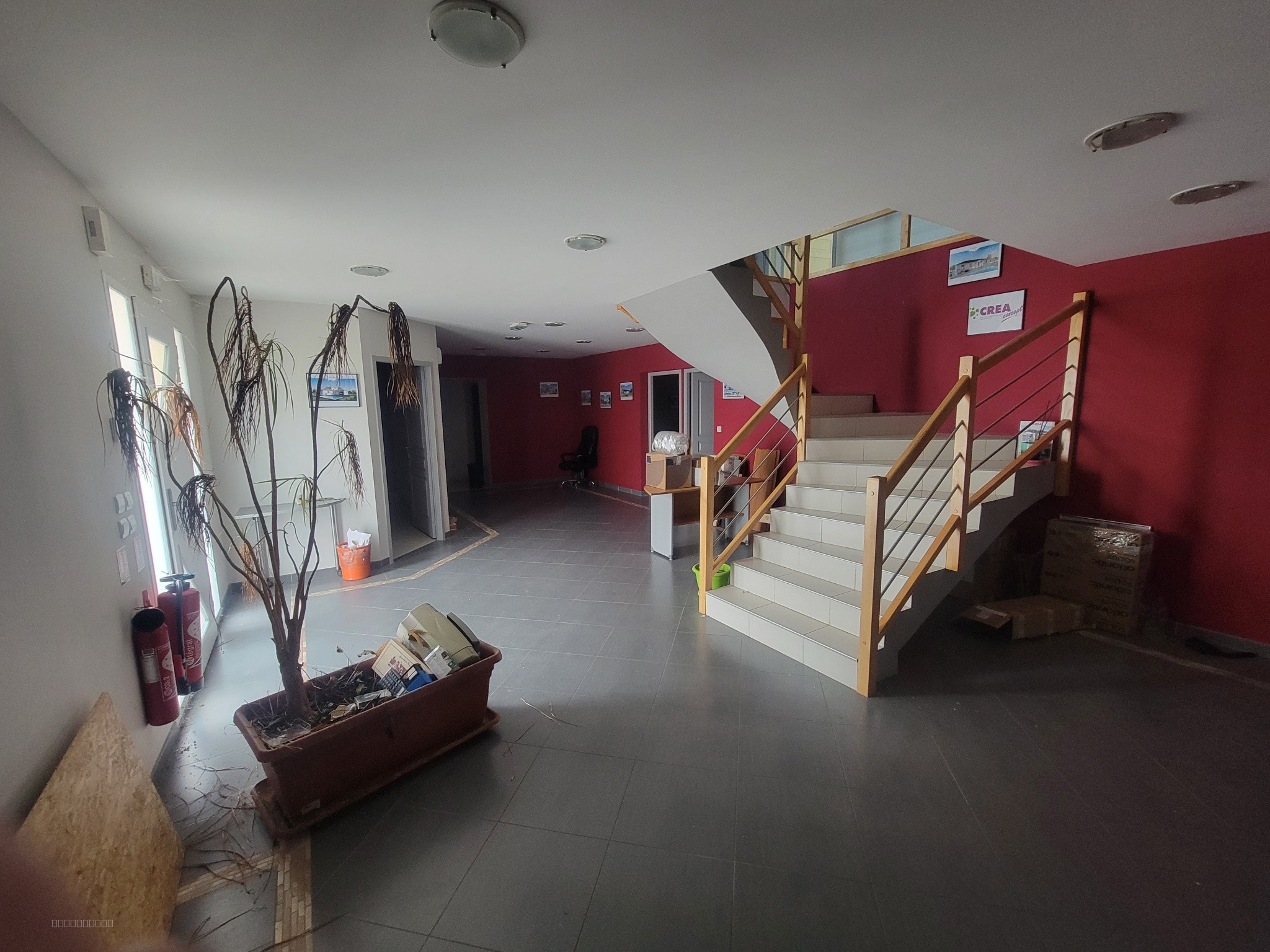 Bureaux - 420 m2 - Saint Doulchard — photo 2