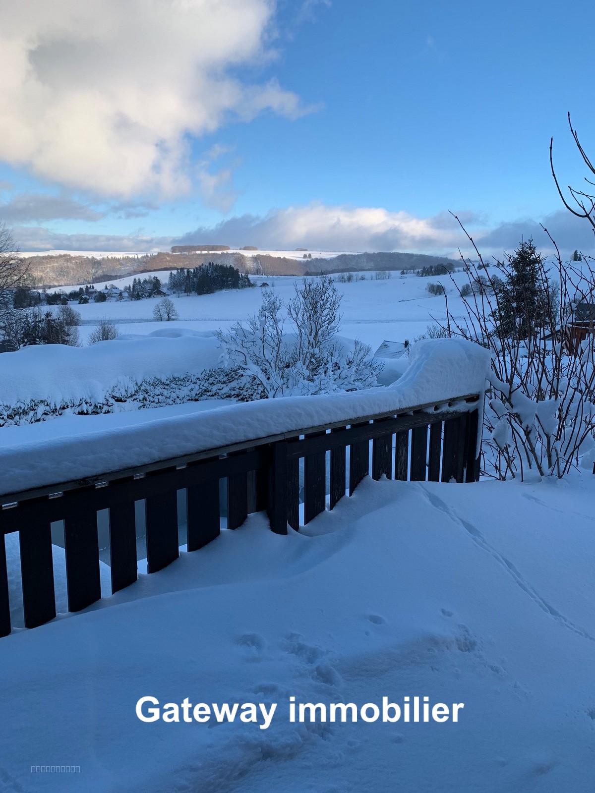EXCLUSIVITE À Besse-Et-Saint-Anastaise (63), chalet en bois en vente — photo 18