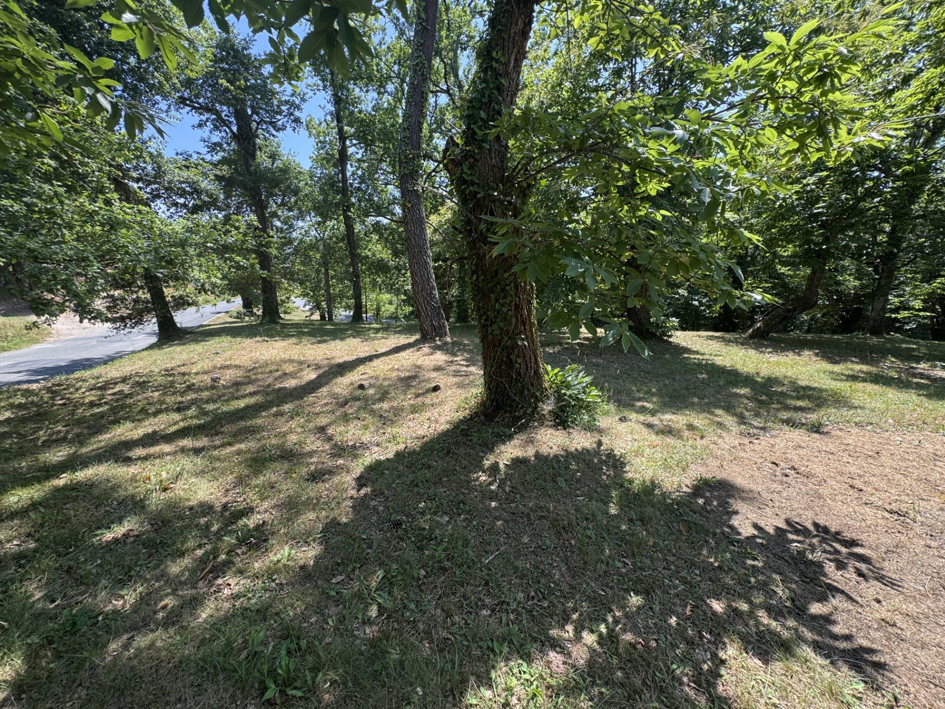 - VIAGER - Maison avec piscine, 8500 m2 de terrain à Cénac et St julien — photo 5