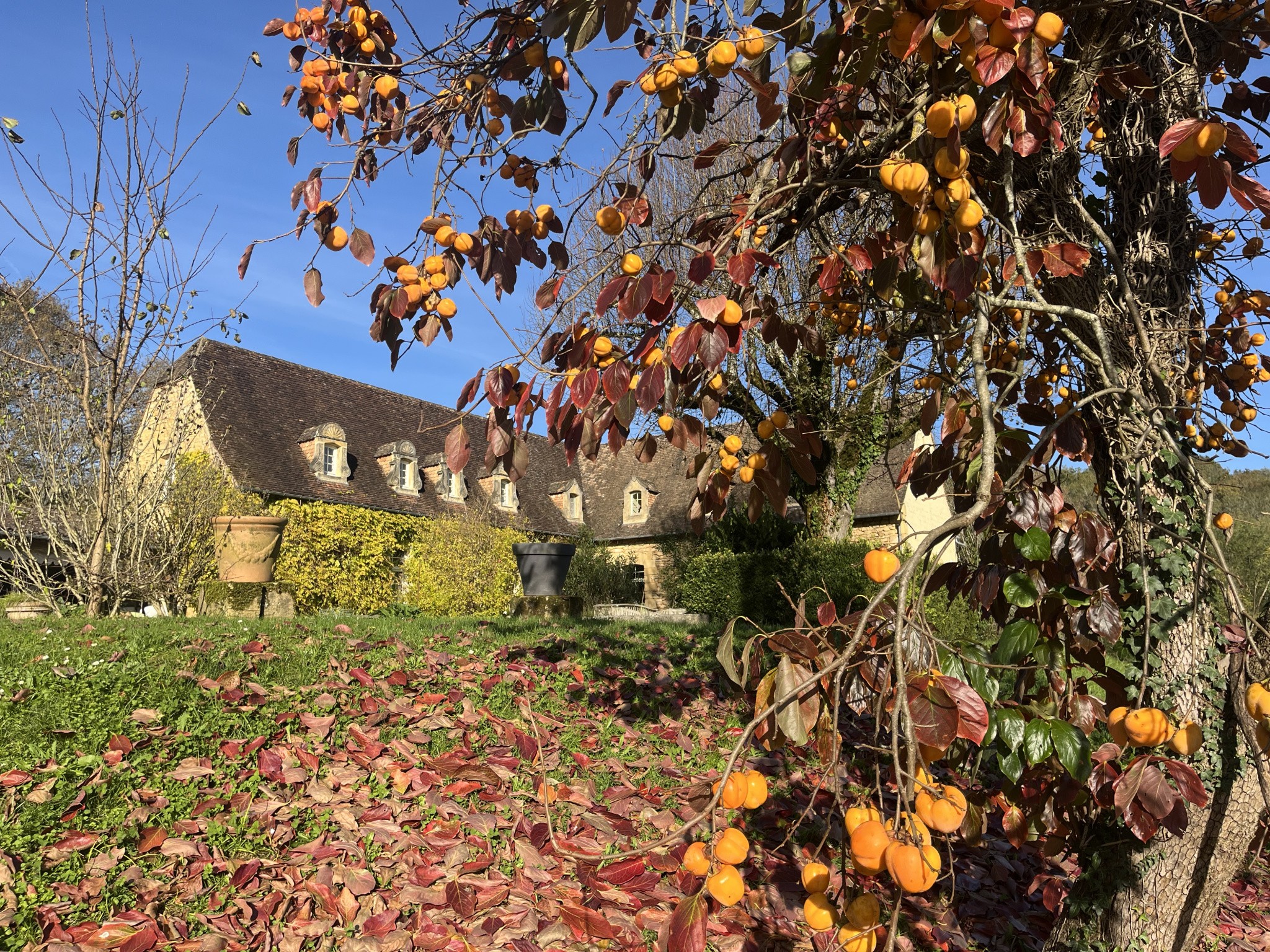 Trés belle Demeure avec gîte et dépendance à Sarlat — photo 12