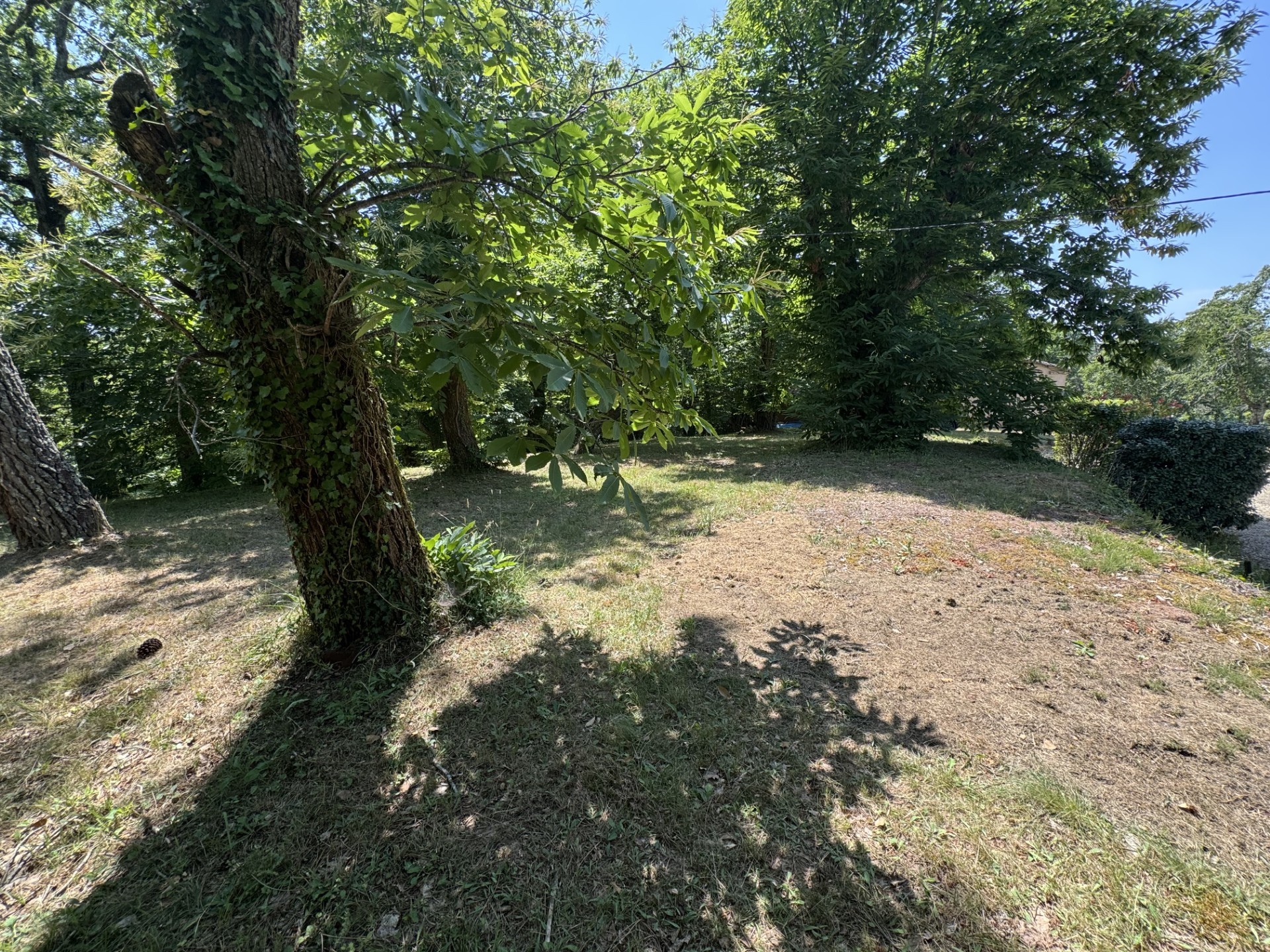- VIAGER - Maison avec piscine, 8500 m2 de terrain à Cénac et St julien — photo 4