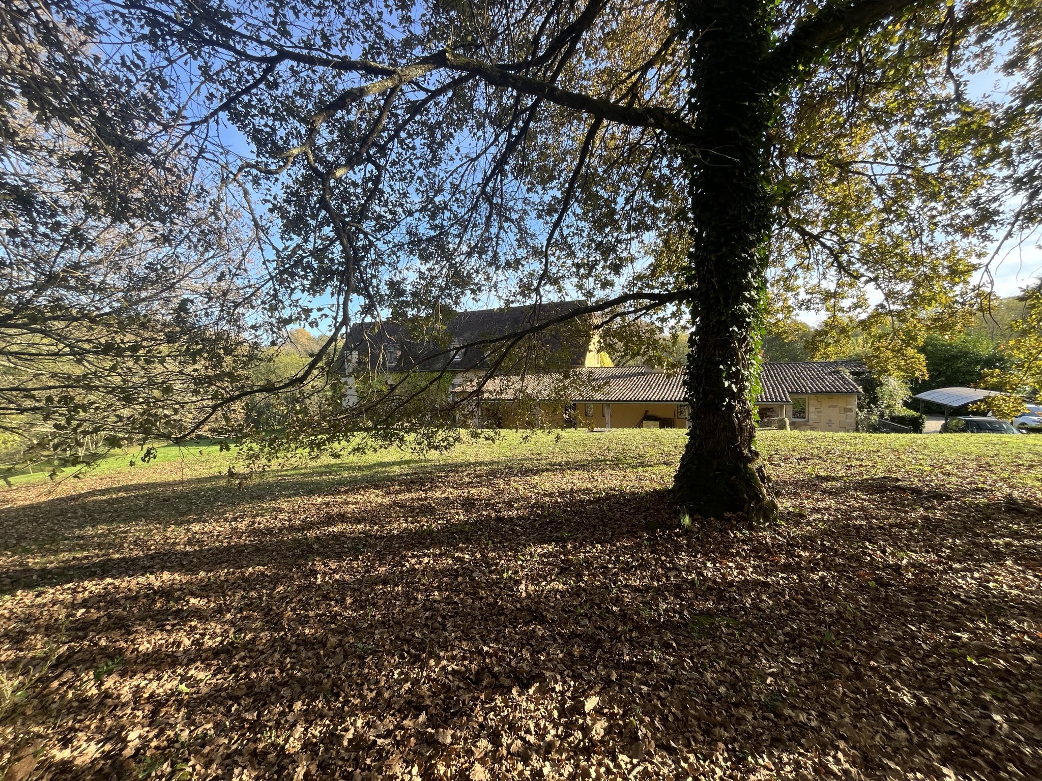 Trés belle Demeure avec gîte et dépendance à Sarlat — photo 3
