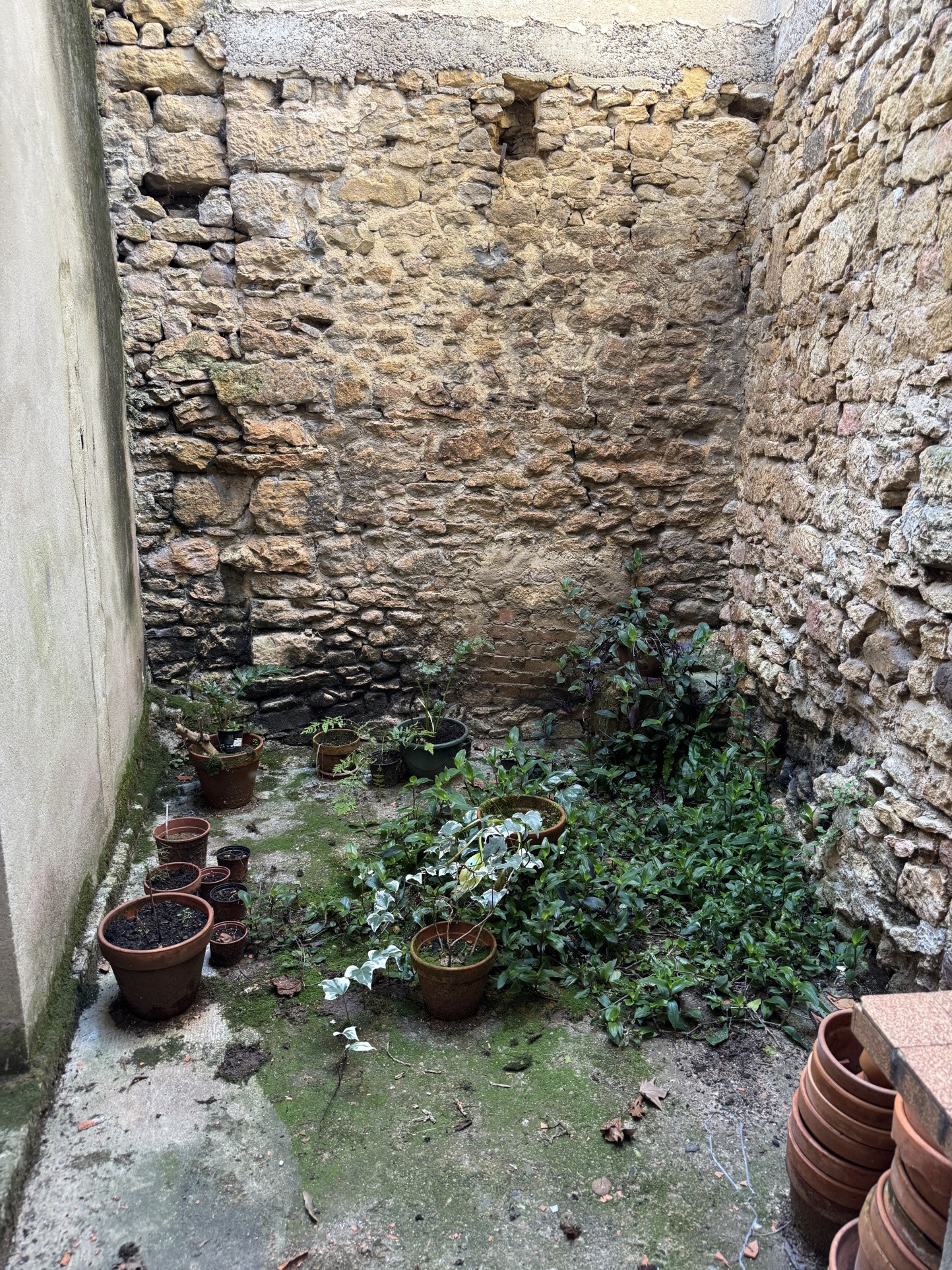 Maison de ville à Sarlat à 3 minutes à pied du centre historique — photo 10