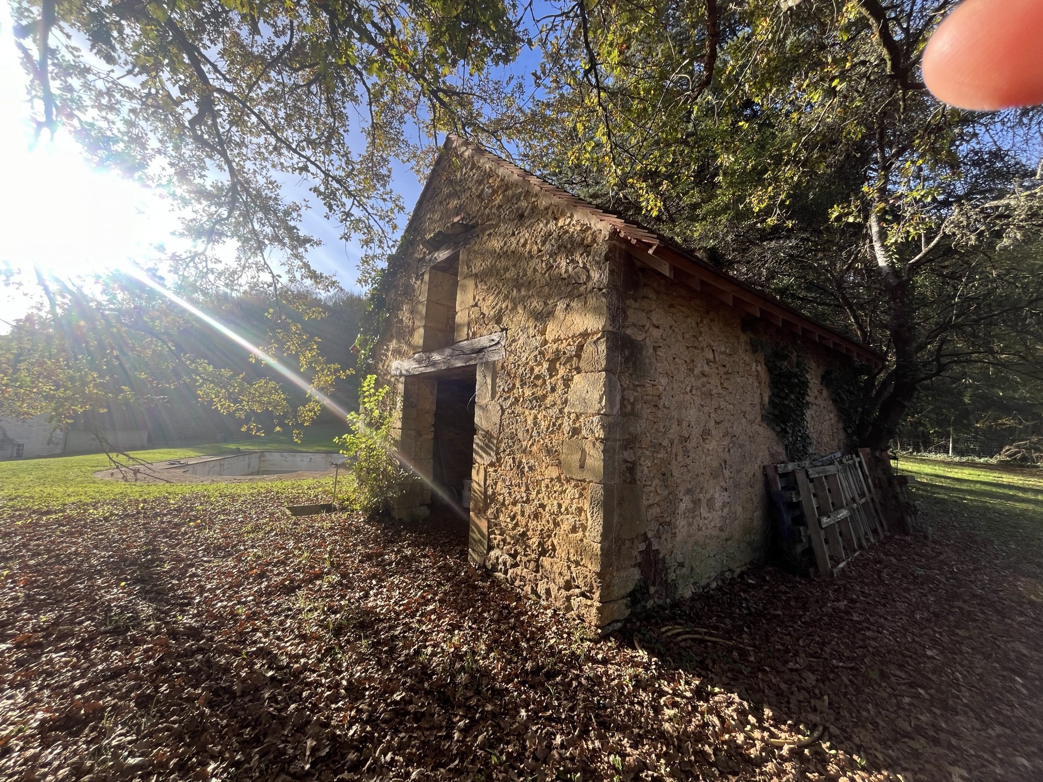 Trés belle Demeure avec gîte et dépendance à Sarlat — photo 6