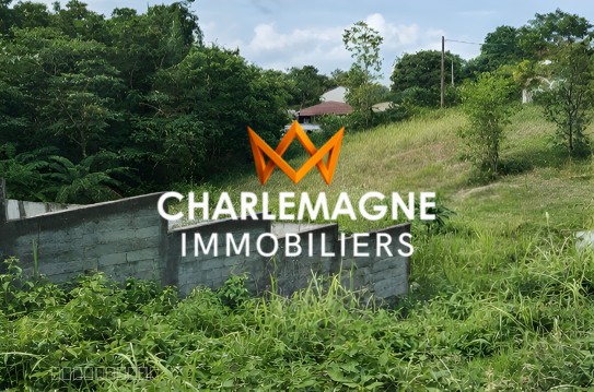 Terrain constructible à Petit-Bourg, 778 m2 — photo 2