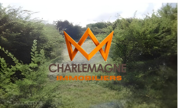 Collaboration : Opportunité Rare : Terrain Viabilisé de 508 m2 à Sainte-Anne — photo 2