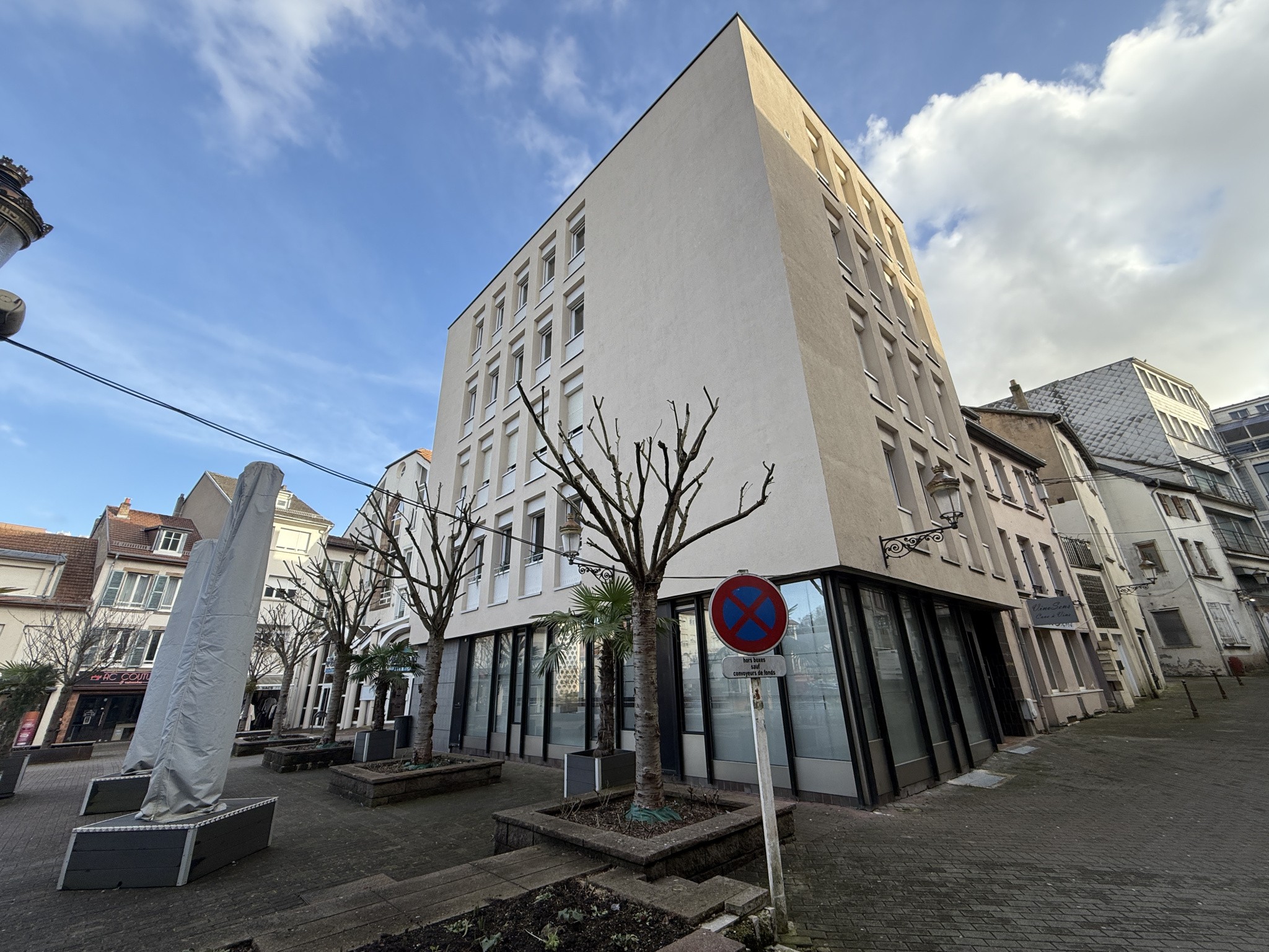 Locaux commerciaux / professionnels (21 pièces) - Centre-ville de Saint-Avold - 392 m2 — photo 2