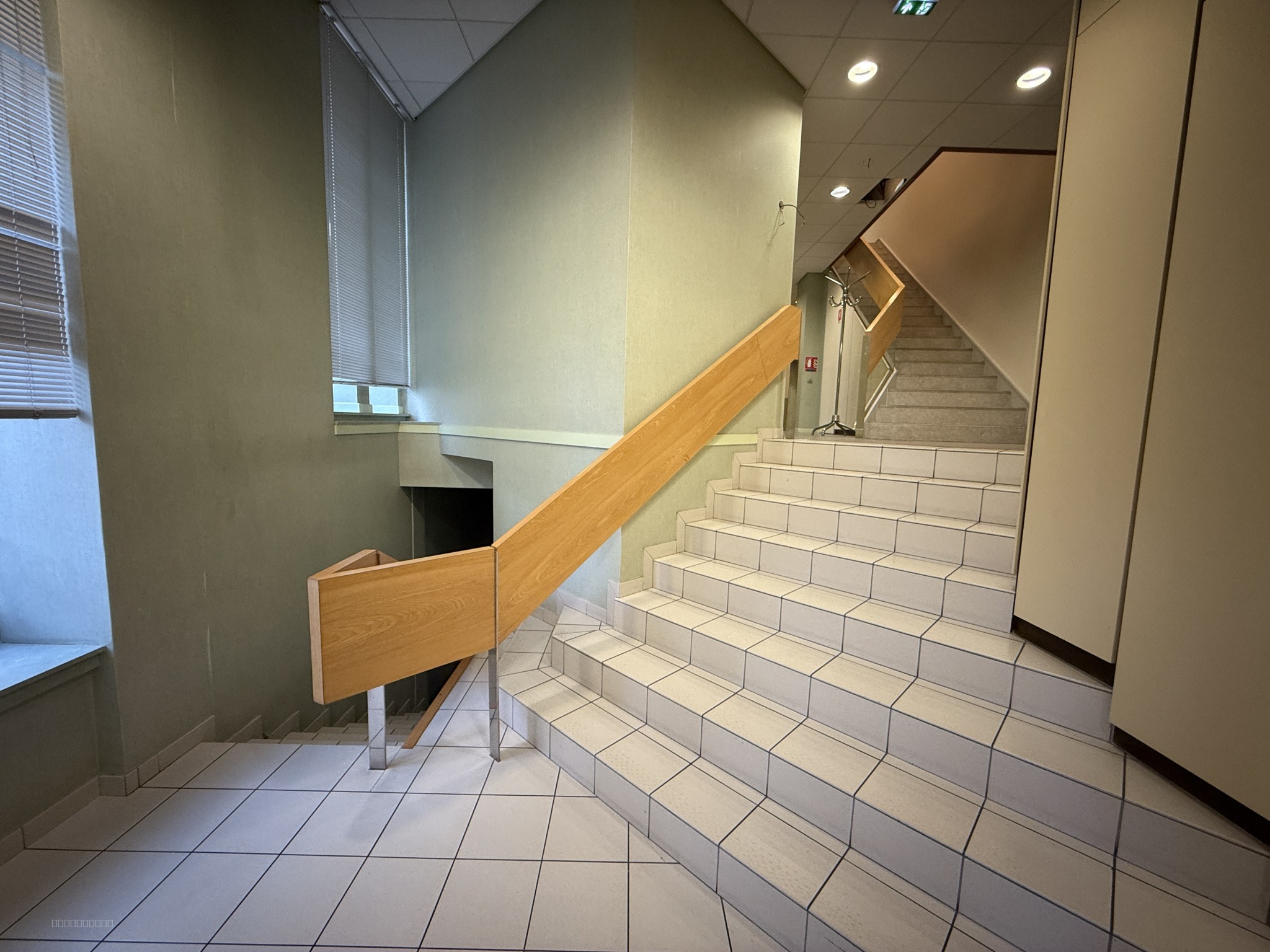 Locaux commerciaux / professionnels (21 pièces) - Centre-ville de Saint-Avold - 392 m2 — photo 4