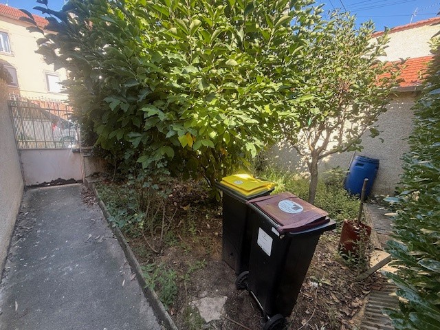 Nouveauté — photo 4