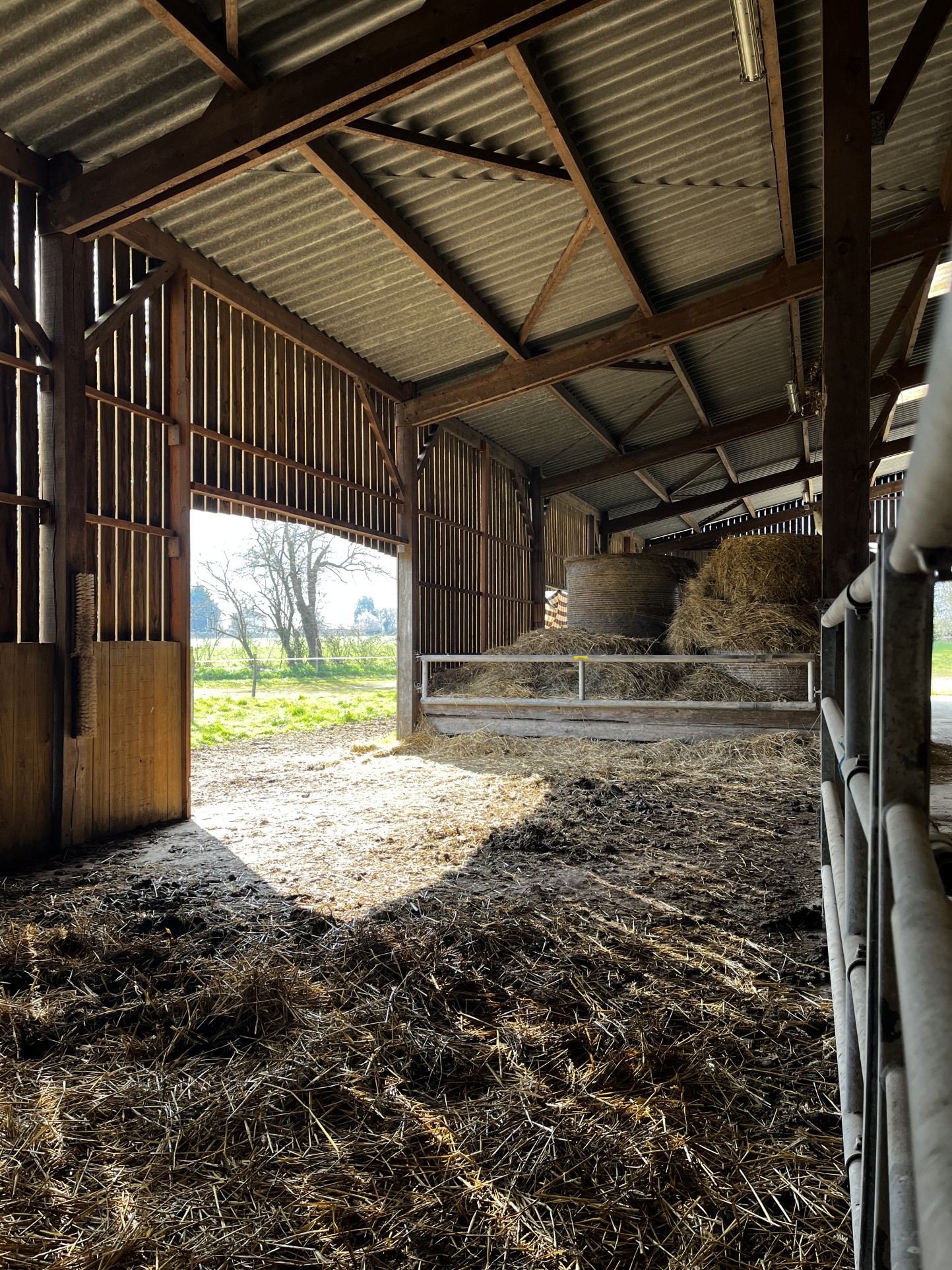 Propriété équestre avec habitation de plain-pied, dépendances, pré, carrière ... — photo 8