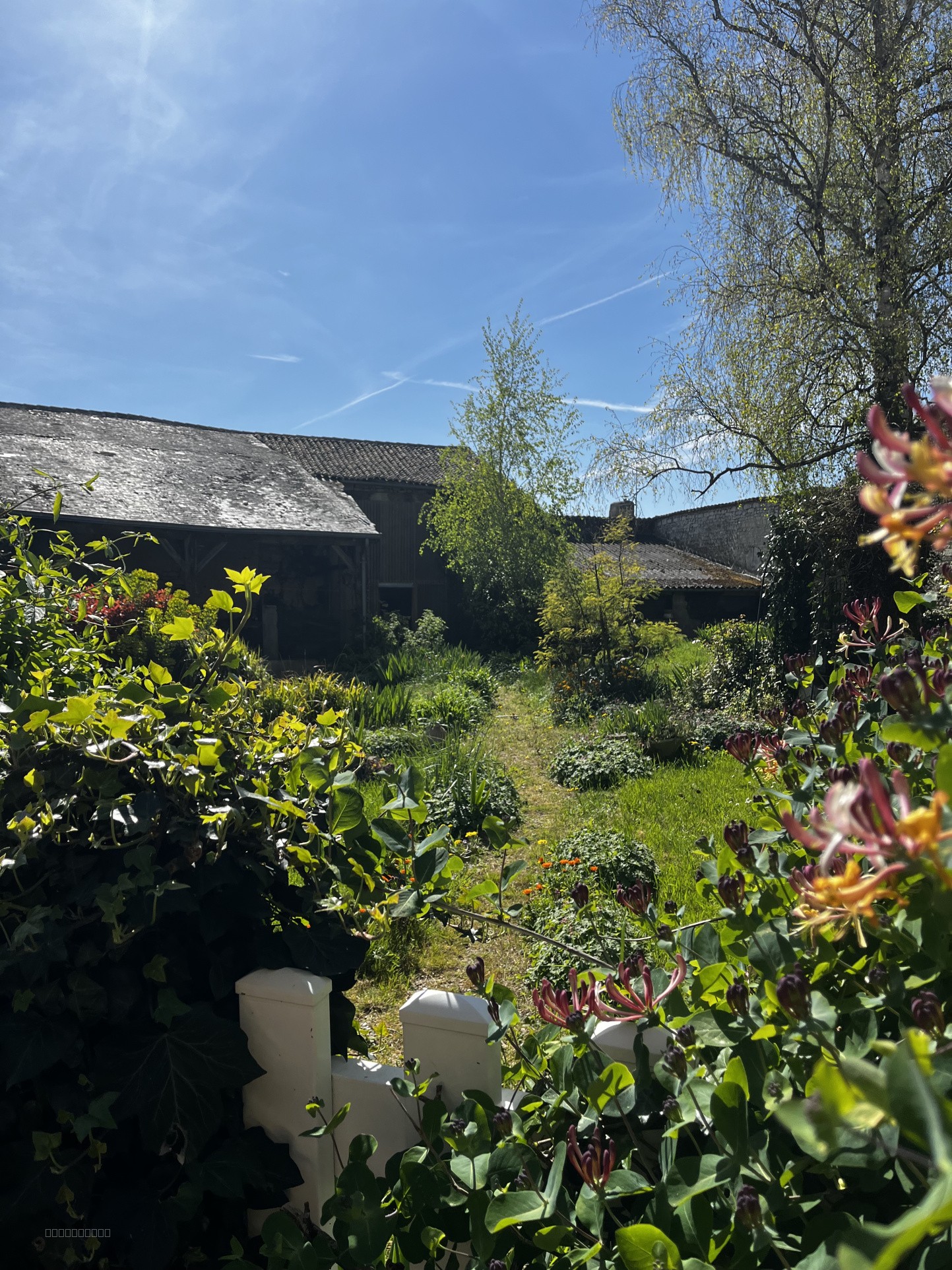 Mirebeau centre ville, jardin clos, grand hangar. — photo 2