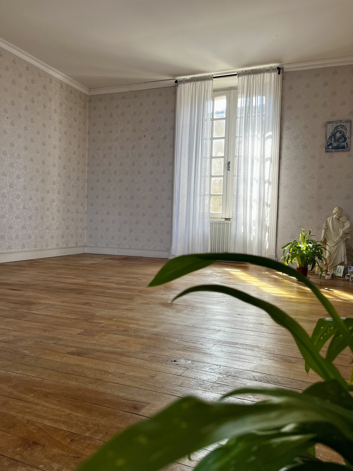 Hôtel particulier hyper centre ville avec jardin et dépendances — photo 8
