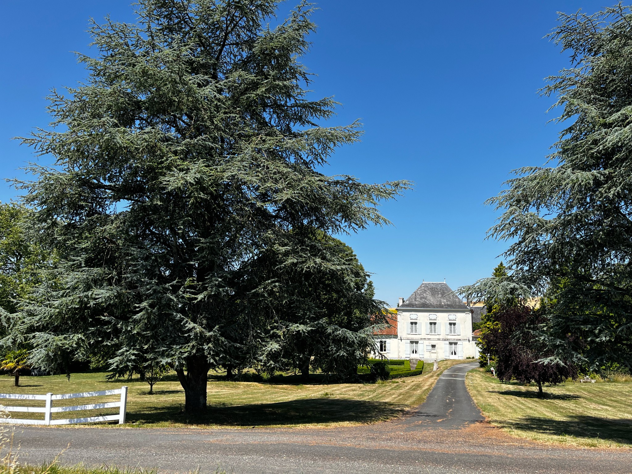 Propriété avec étang et source, hectares — photo 12