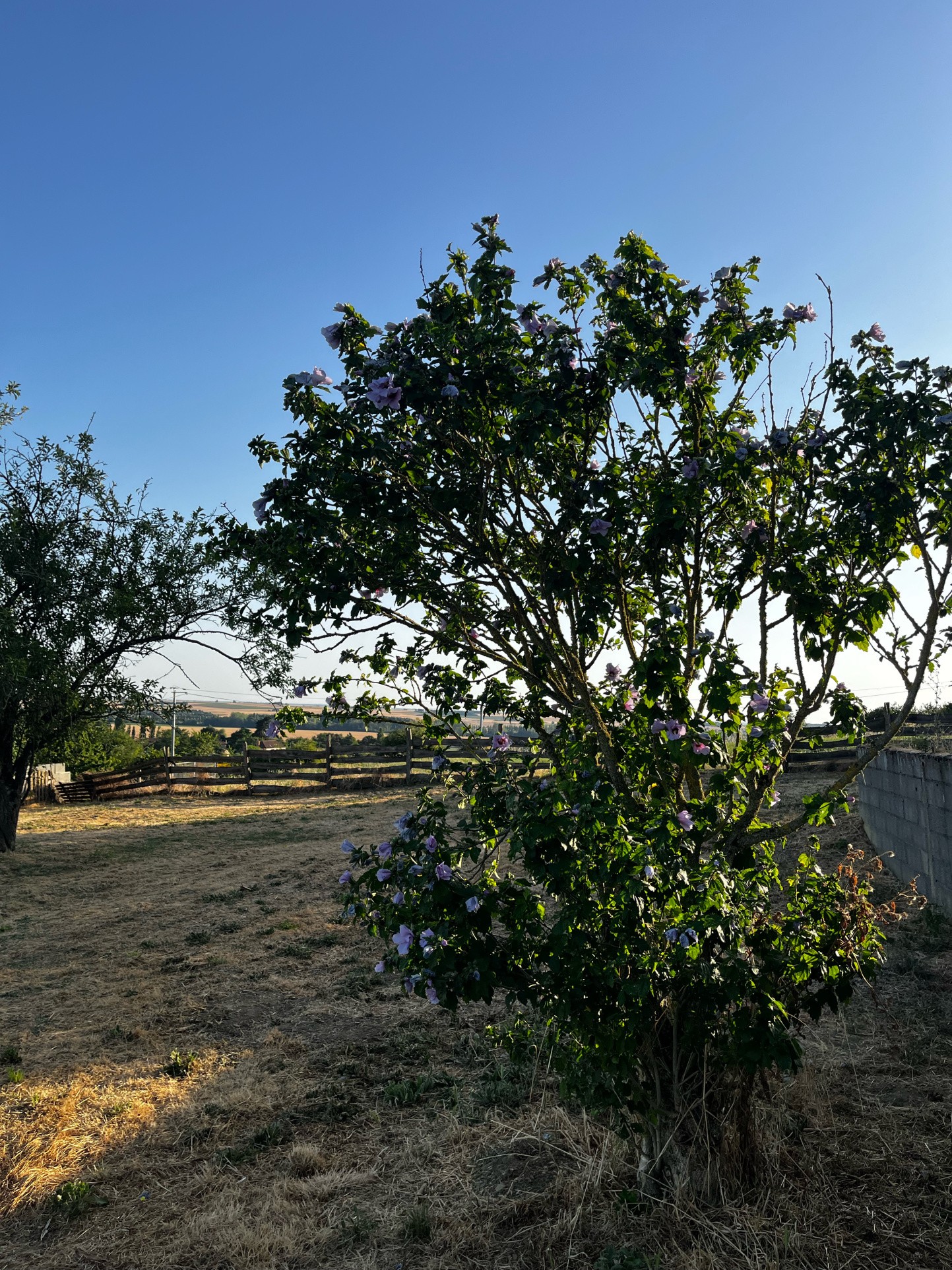 Longère rénovée avec vue imprenable — photo 10