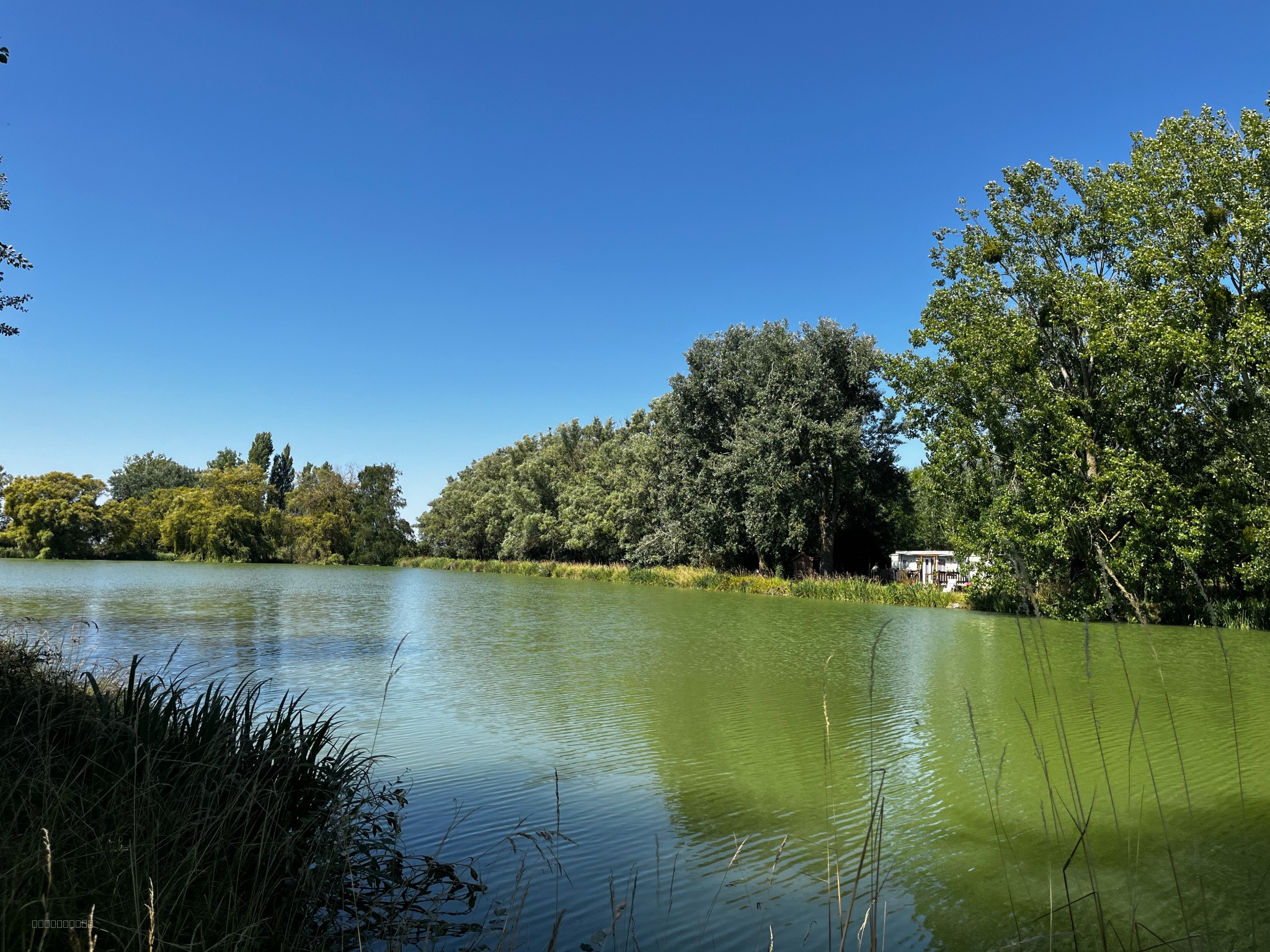 Propriété avec étang et source, hectares — photo 6