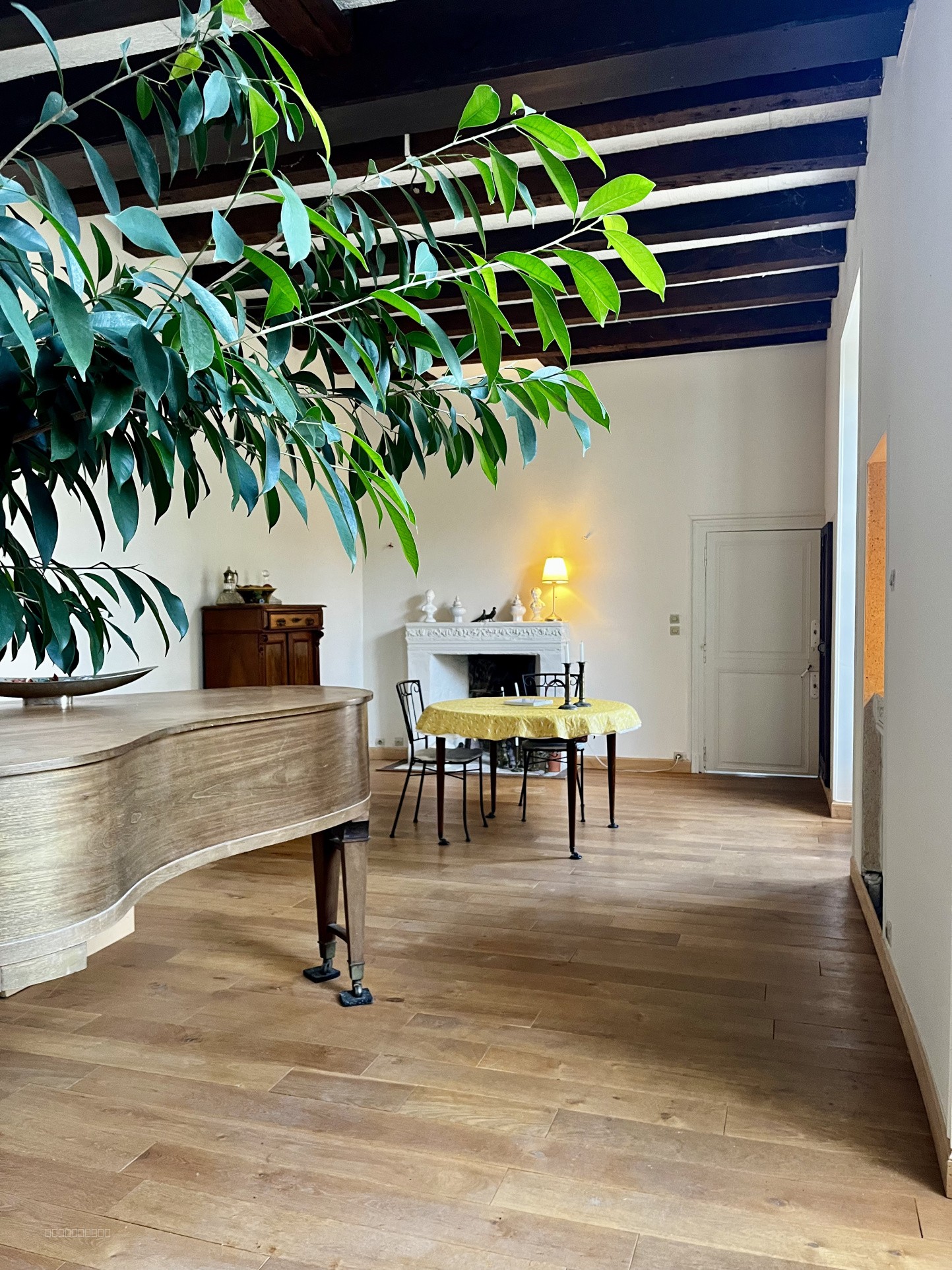 Hôtel particulier hyper centre ville avec jardin et dépendances — photo 2