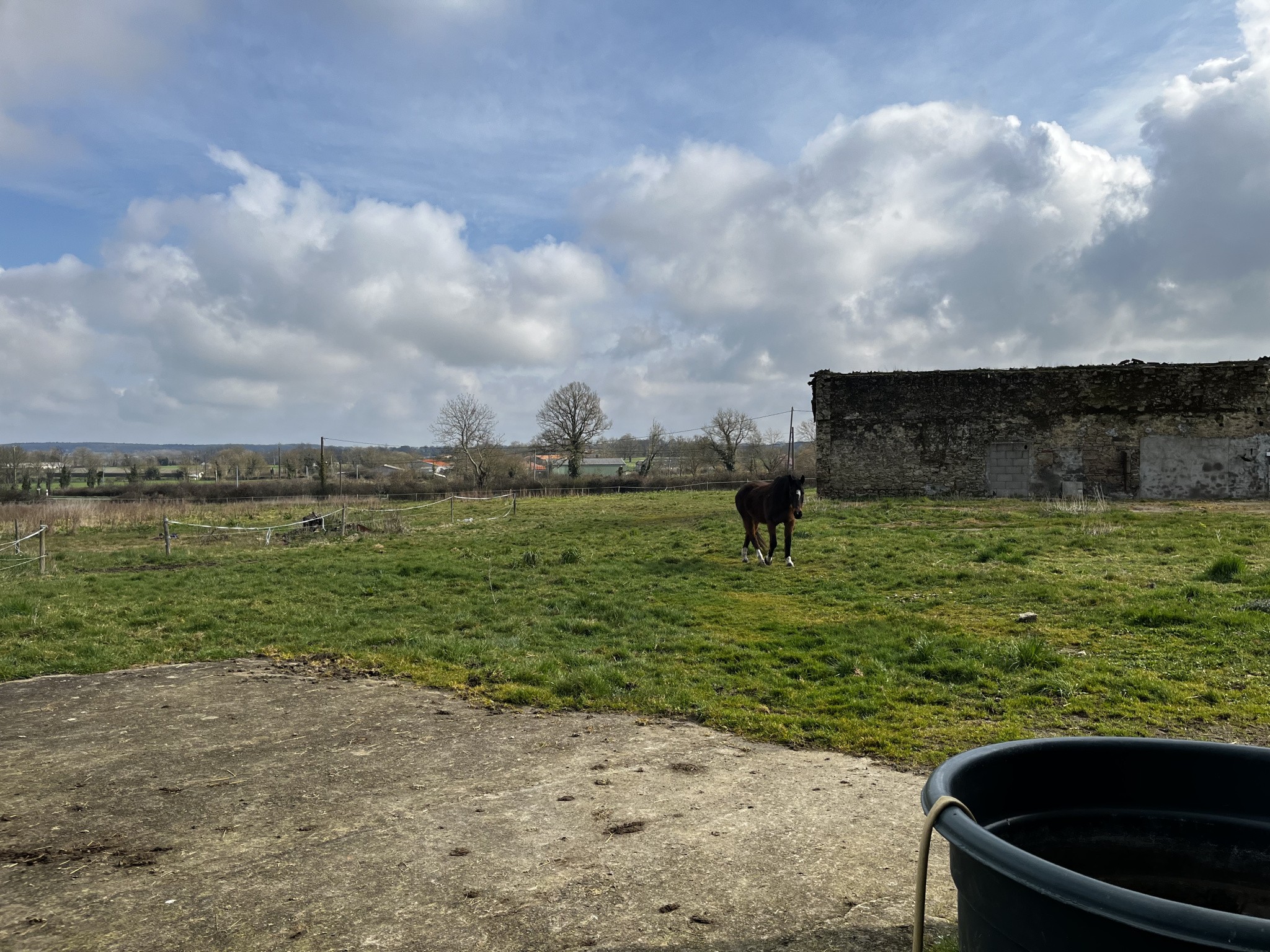 Propriété équestre avec habitation de plain-pied, dépendances, pré, carrière ... — photo 12