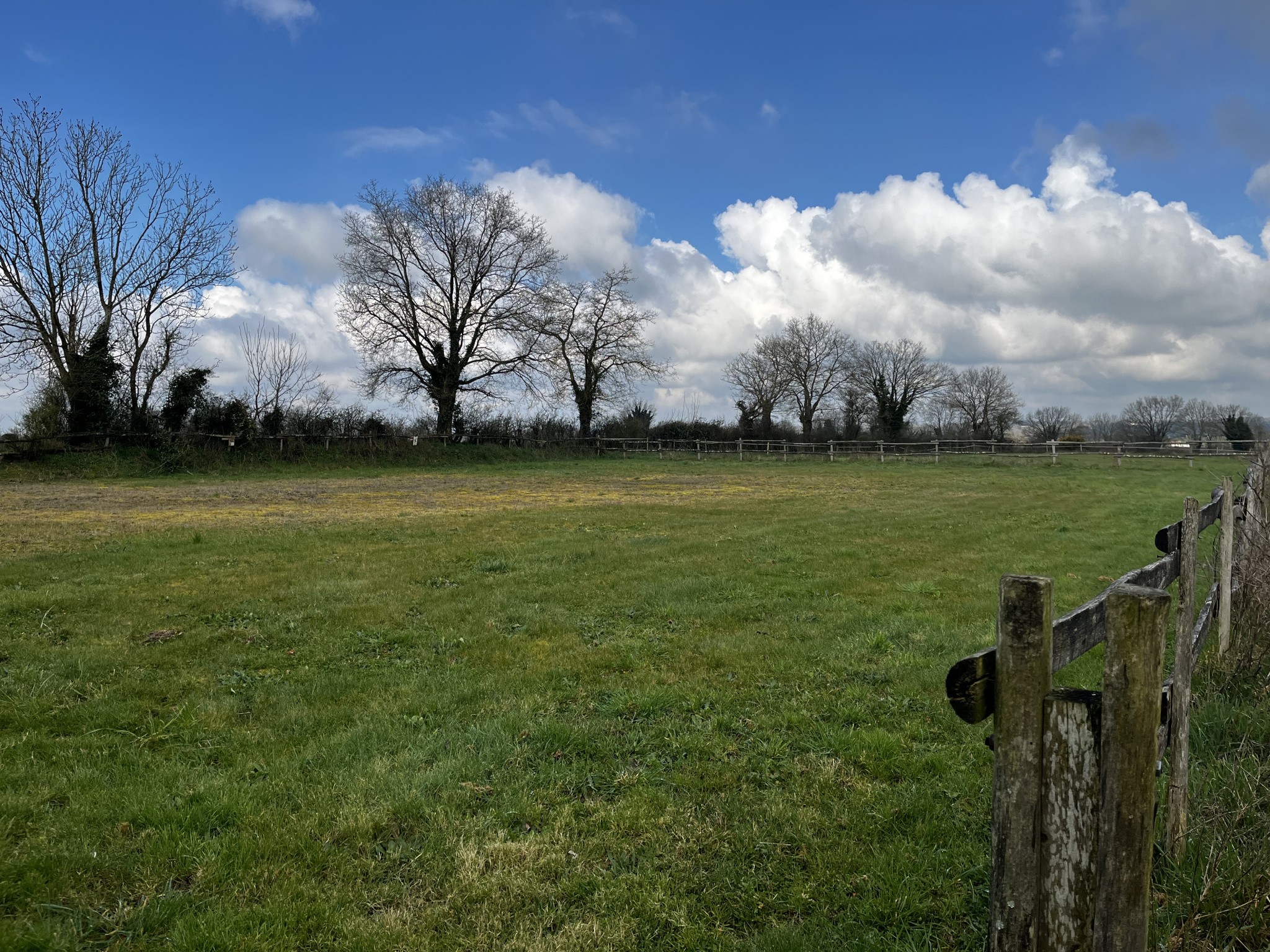 Propriété équestre avec habitation de plain-pied, dépendances, pré, carrière ... — photo 14
