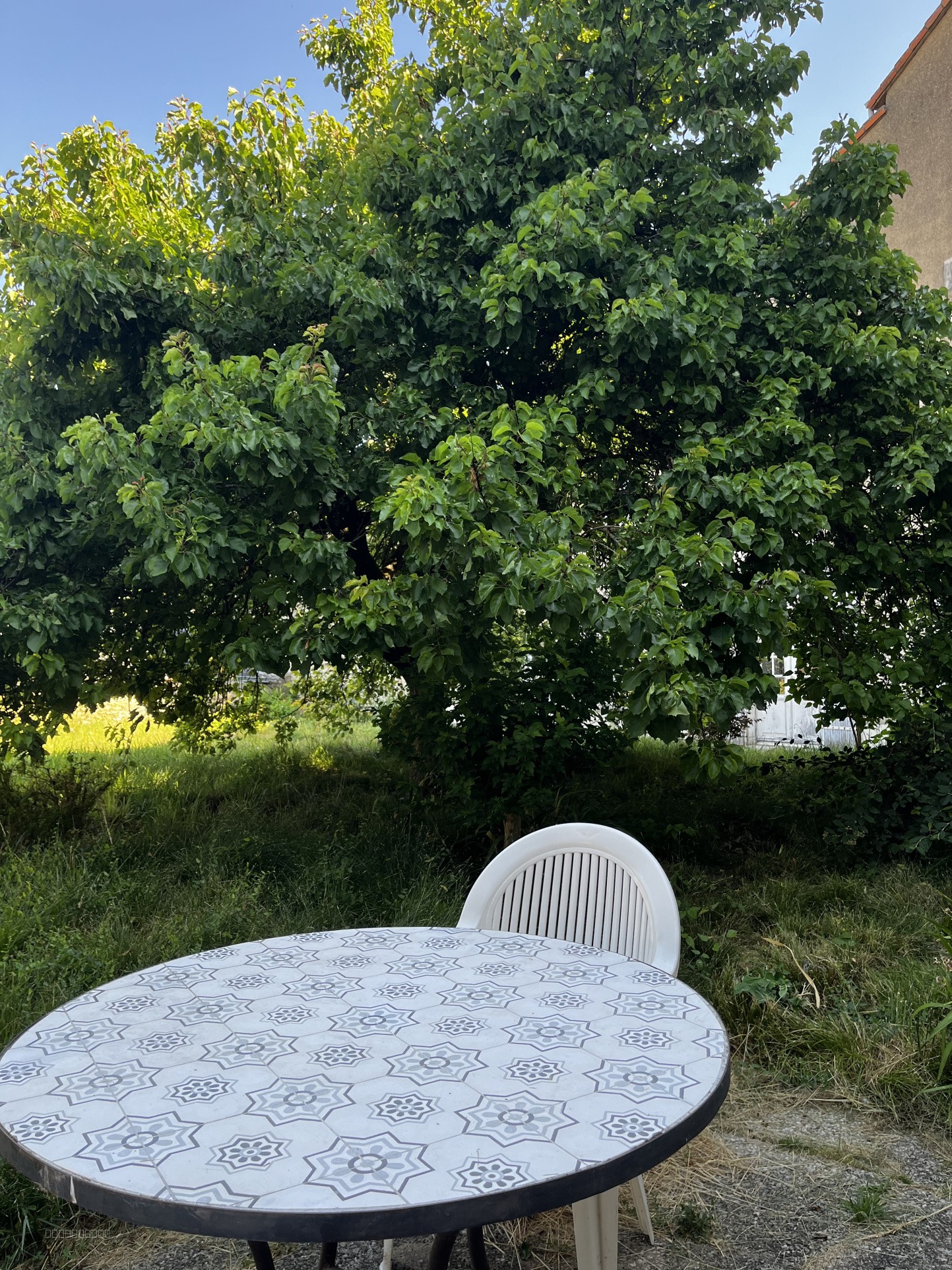 Hôtel particulier hyper centre ville avec jardin et dépendances — photo 14