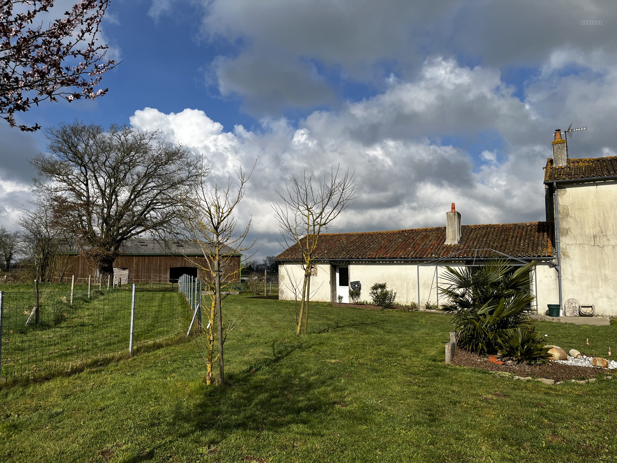 Propriété équestre avec habitation de plain-pied, dépendances, pré, carrière ... — photo 15