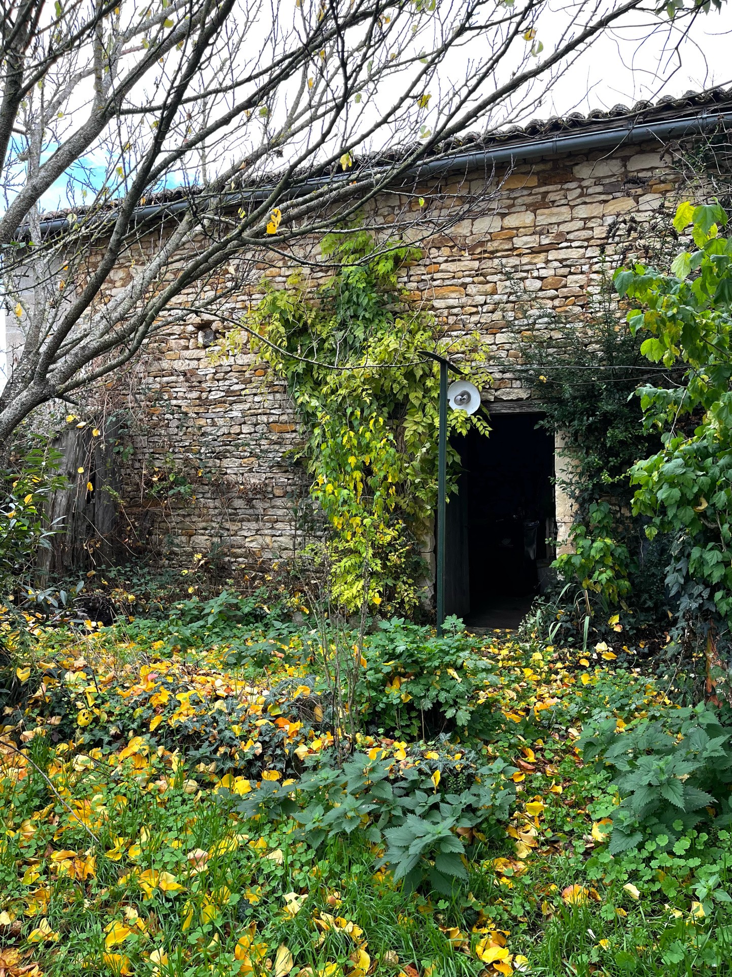Longère rénovée avec cour et jardin — photo 18