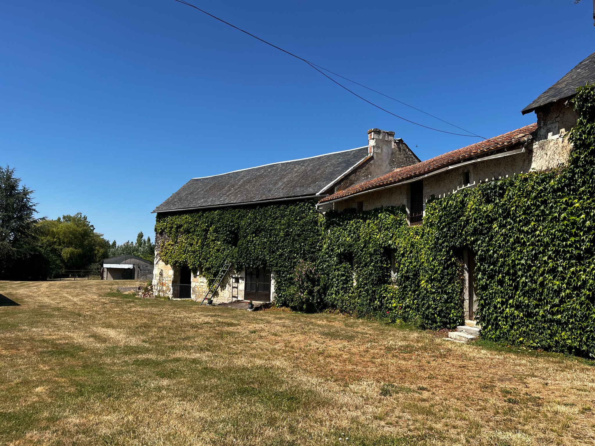 Propriété avec étang et source, hectares — photo 4