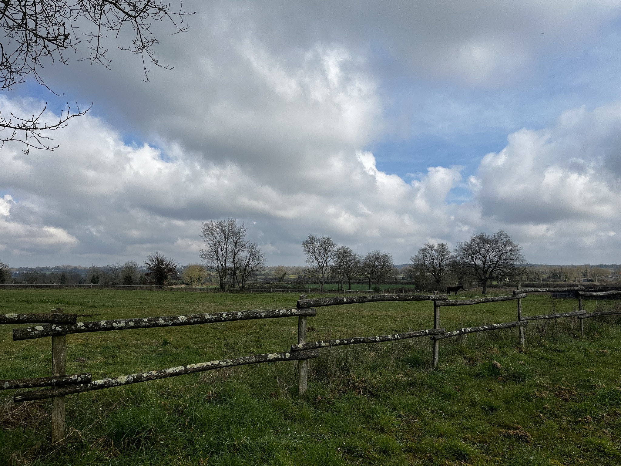 Propriété équestre avec habitation de plain-pied, dépendances, pré, carrière ... — photo 11