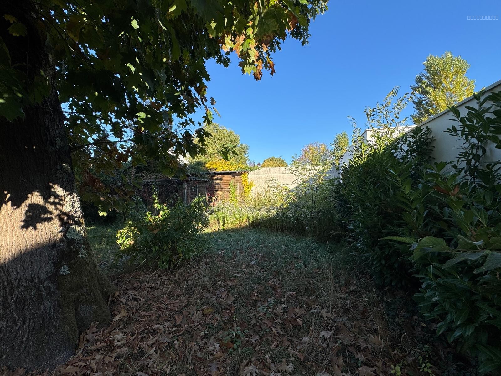TALENCE -  Charmante maison de plain-pied sur superbe terrain arboré de 480m2 — photo 3