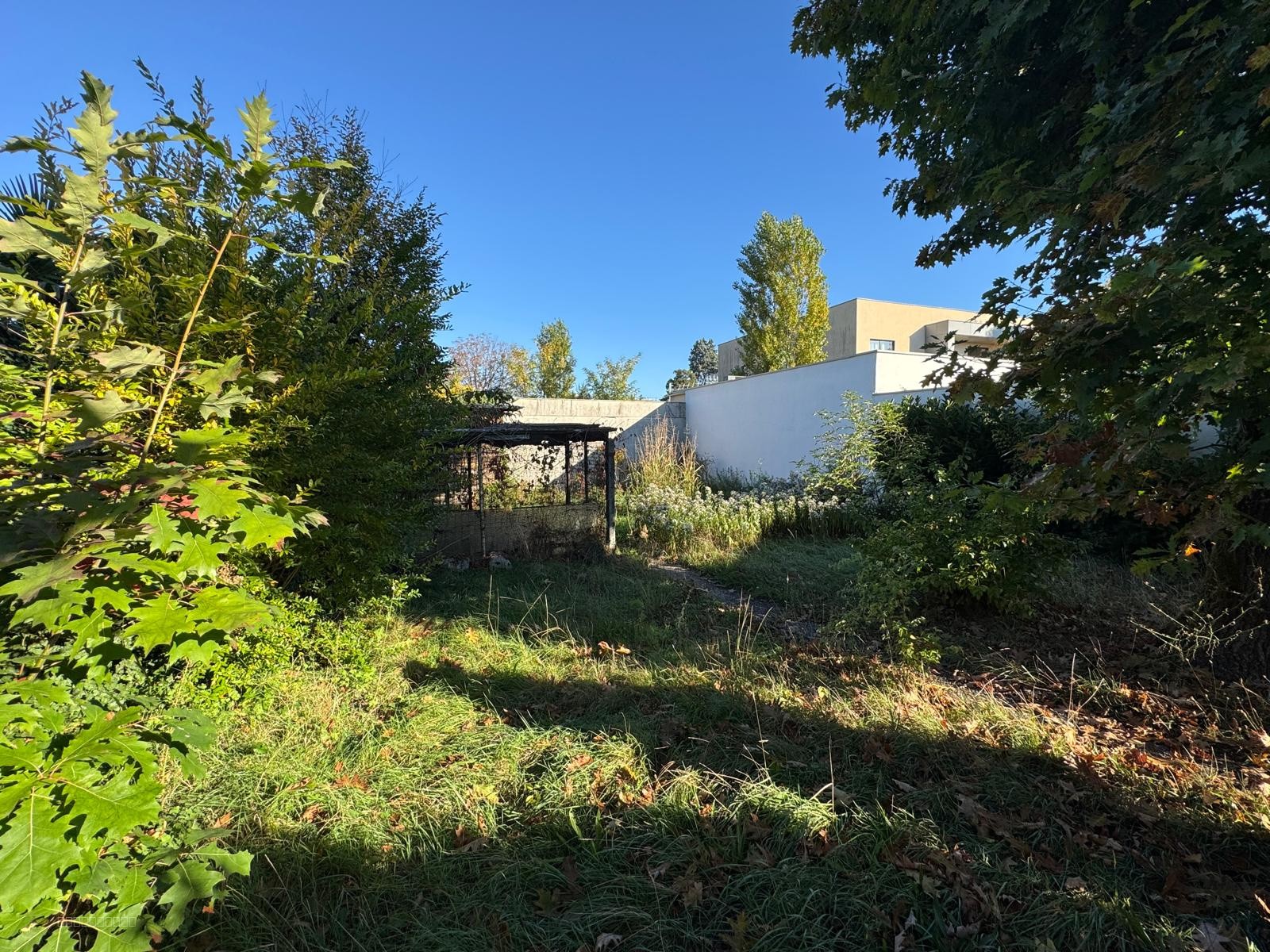 TALENCE - Charmante maison de plain-pied sur superbe terrain arboré de 480m2 — photo 2